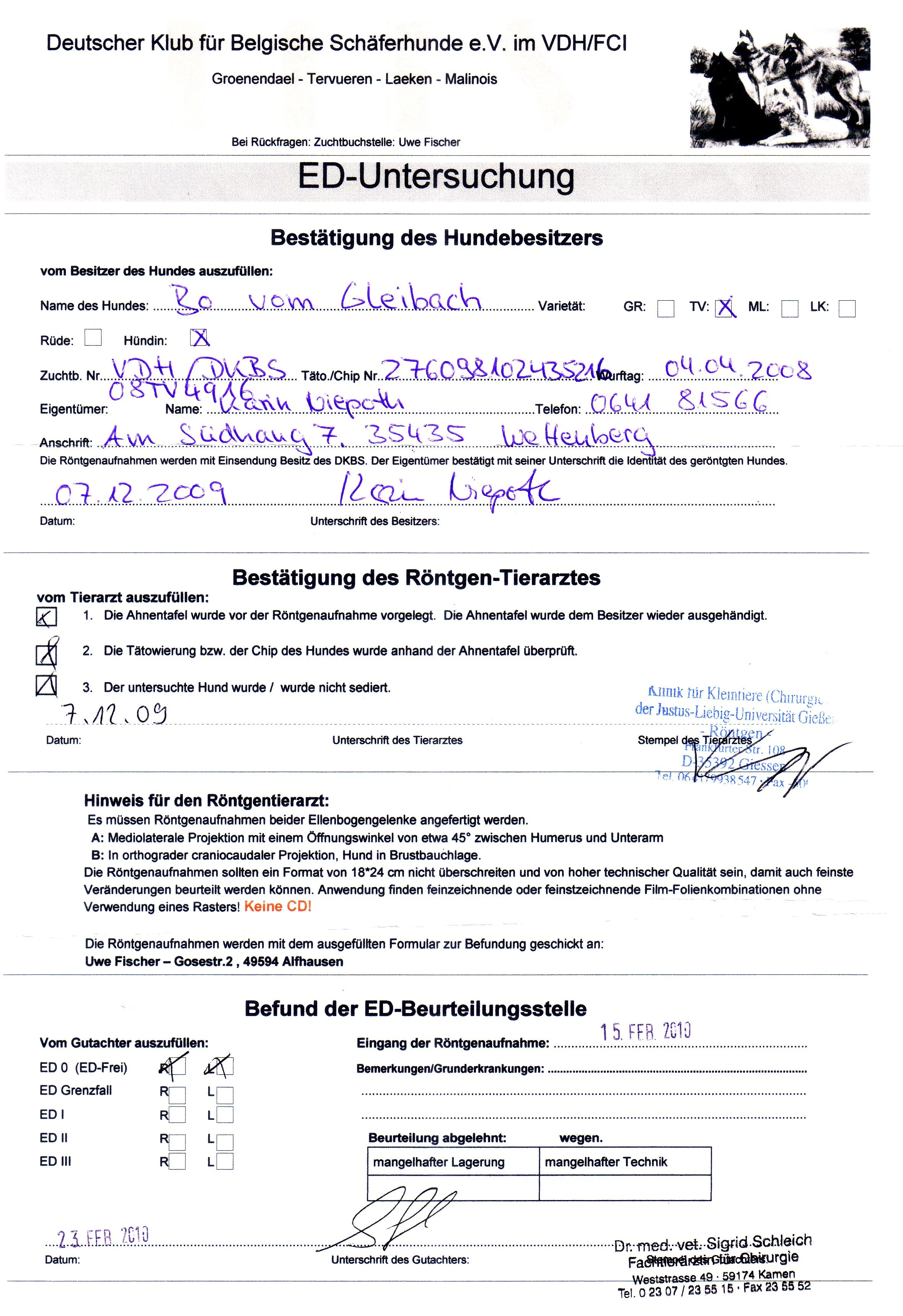 ED Befund