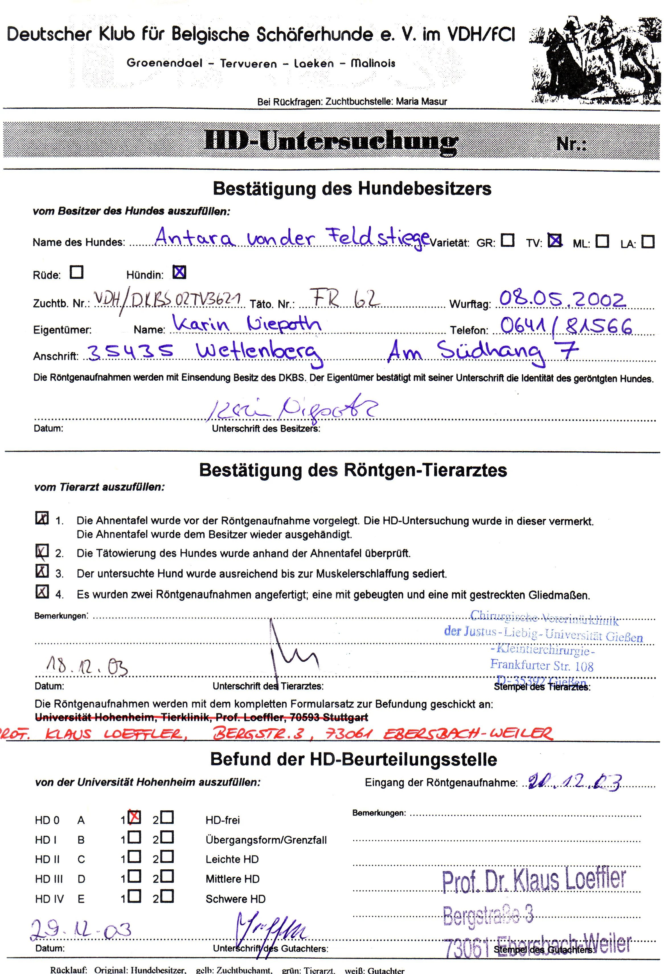 HD Untersuchung