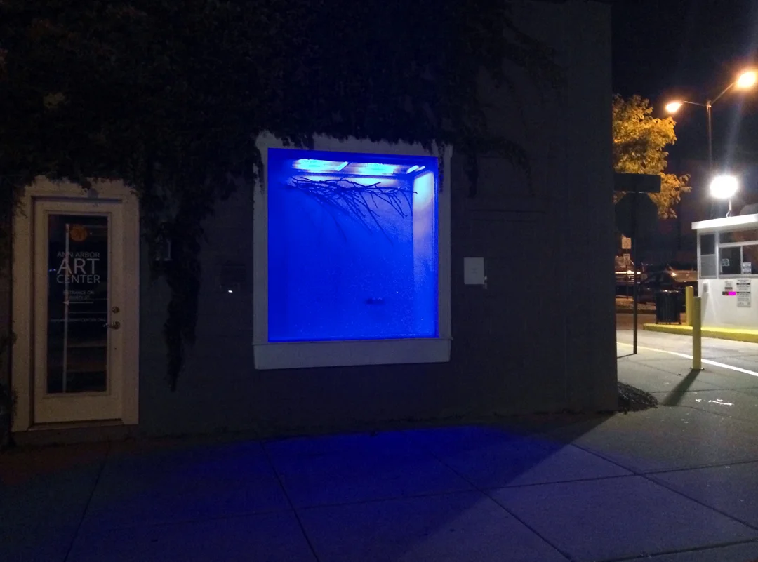  Photographed at at night in Aquarium Gallery  &nbsp;  &nbsp; 