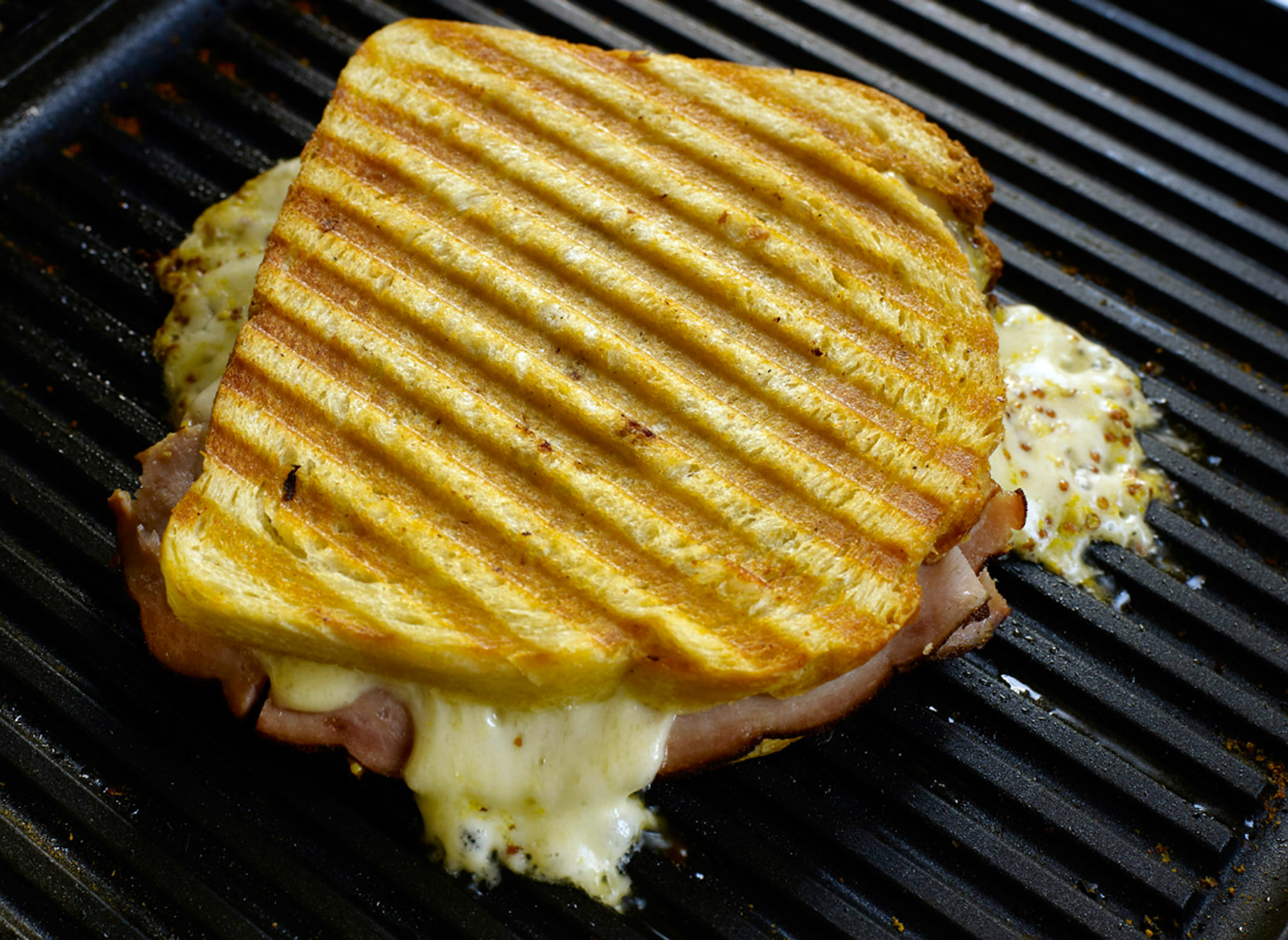 Grilled Panini