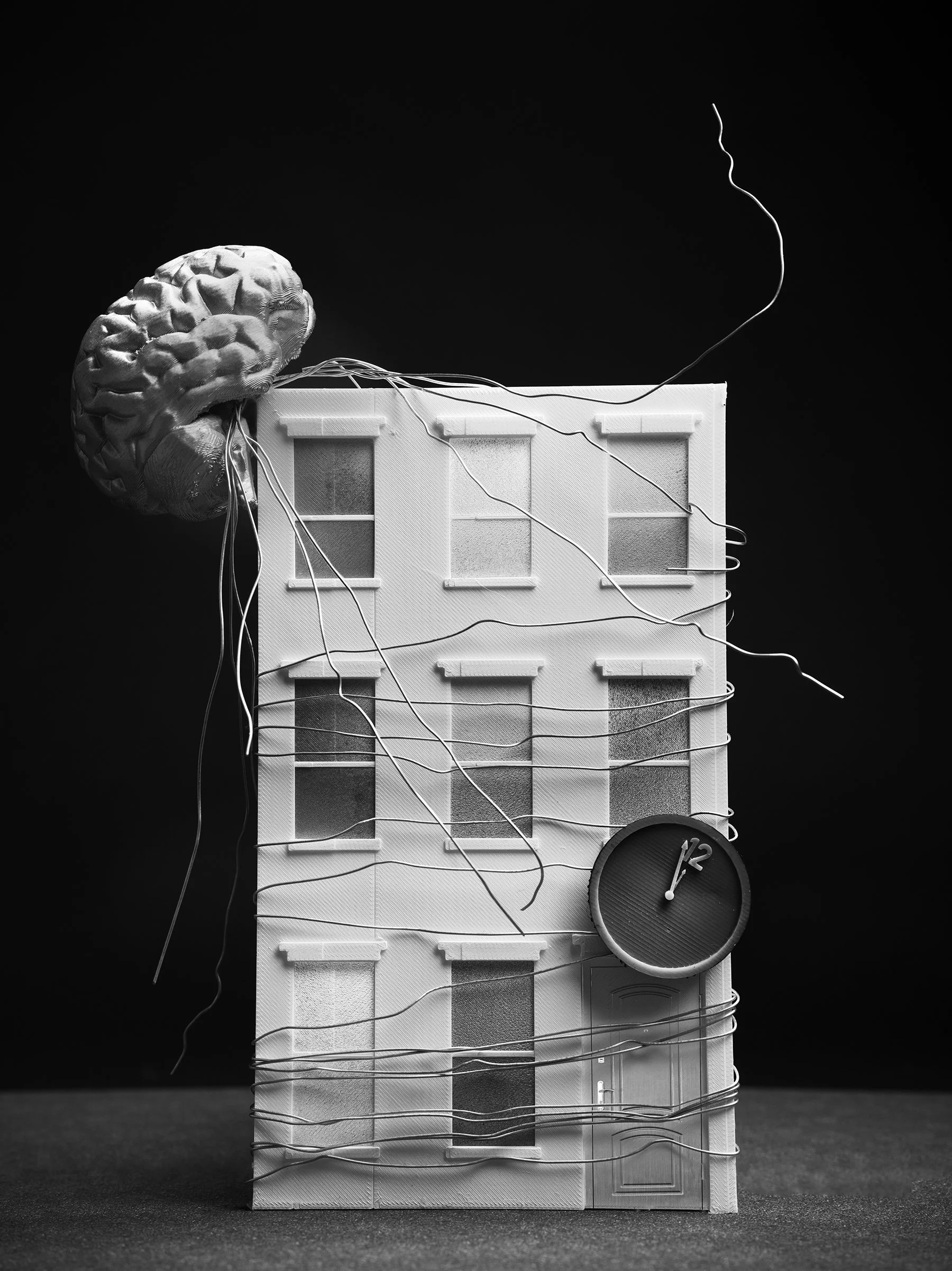 Housing Parasite small.jpg