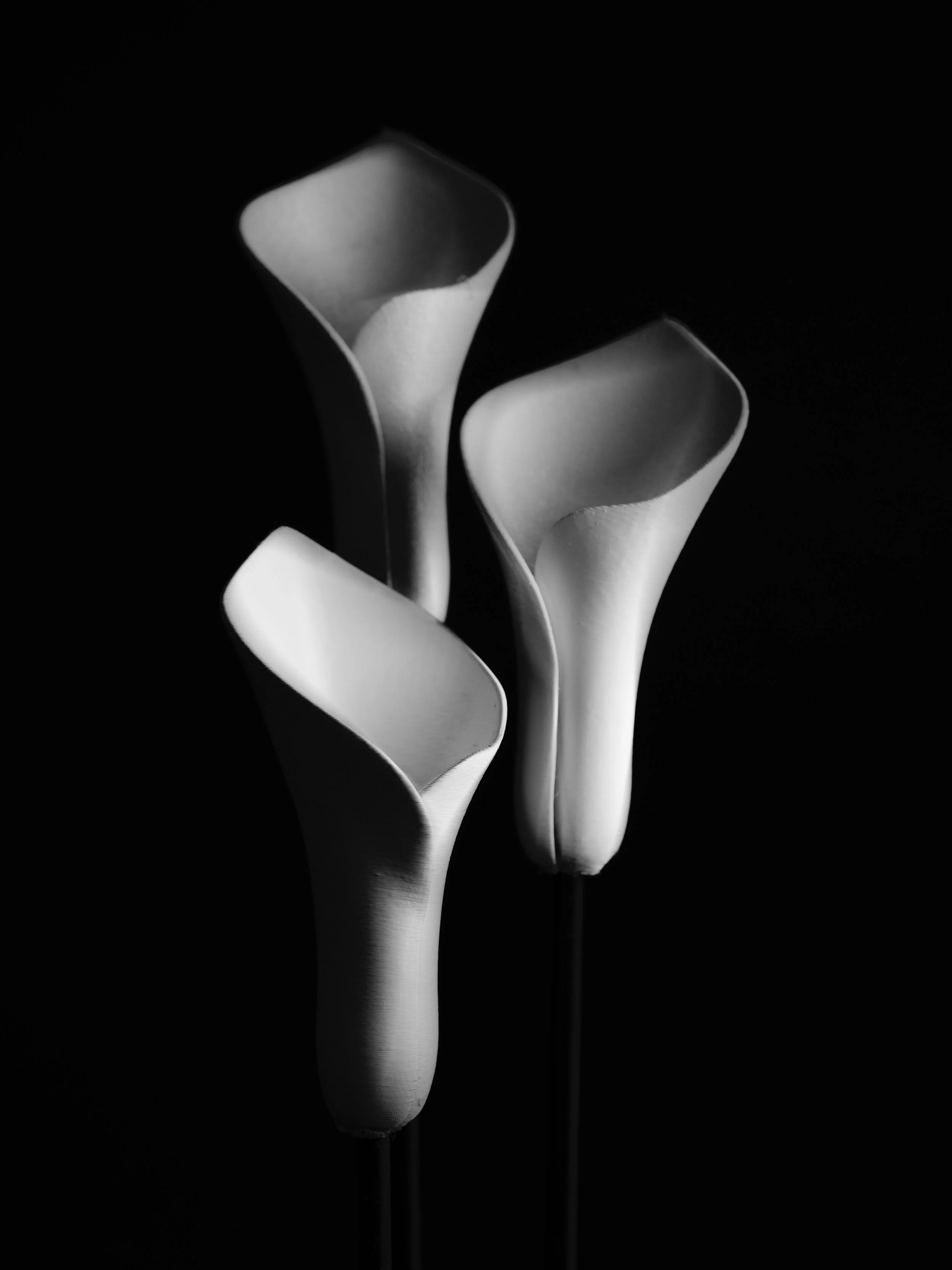 B0001619-2 copy.jpg