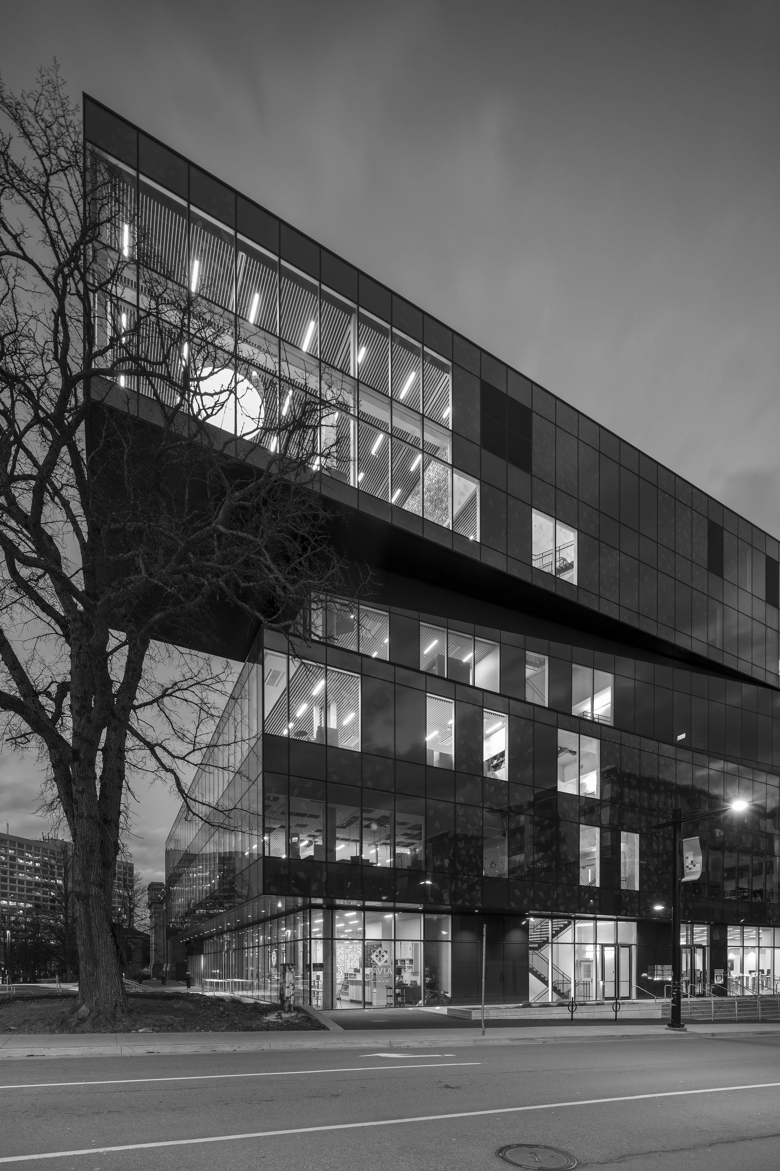 library03.jpg