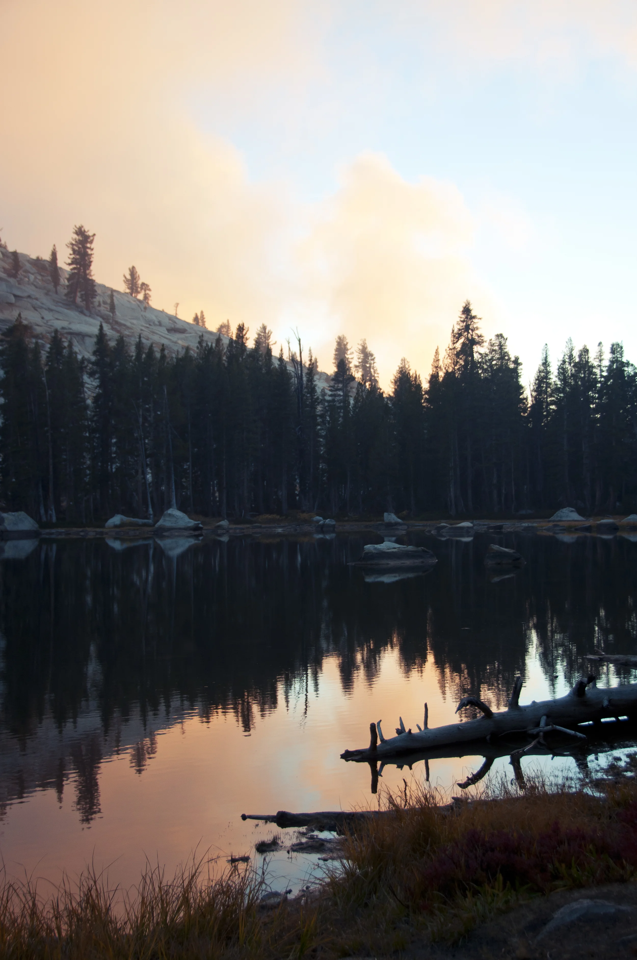 sequoia30.jpg