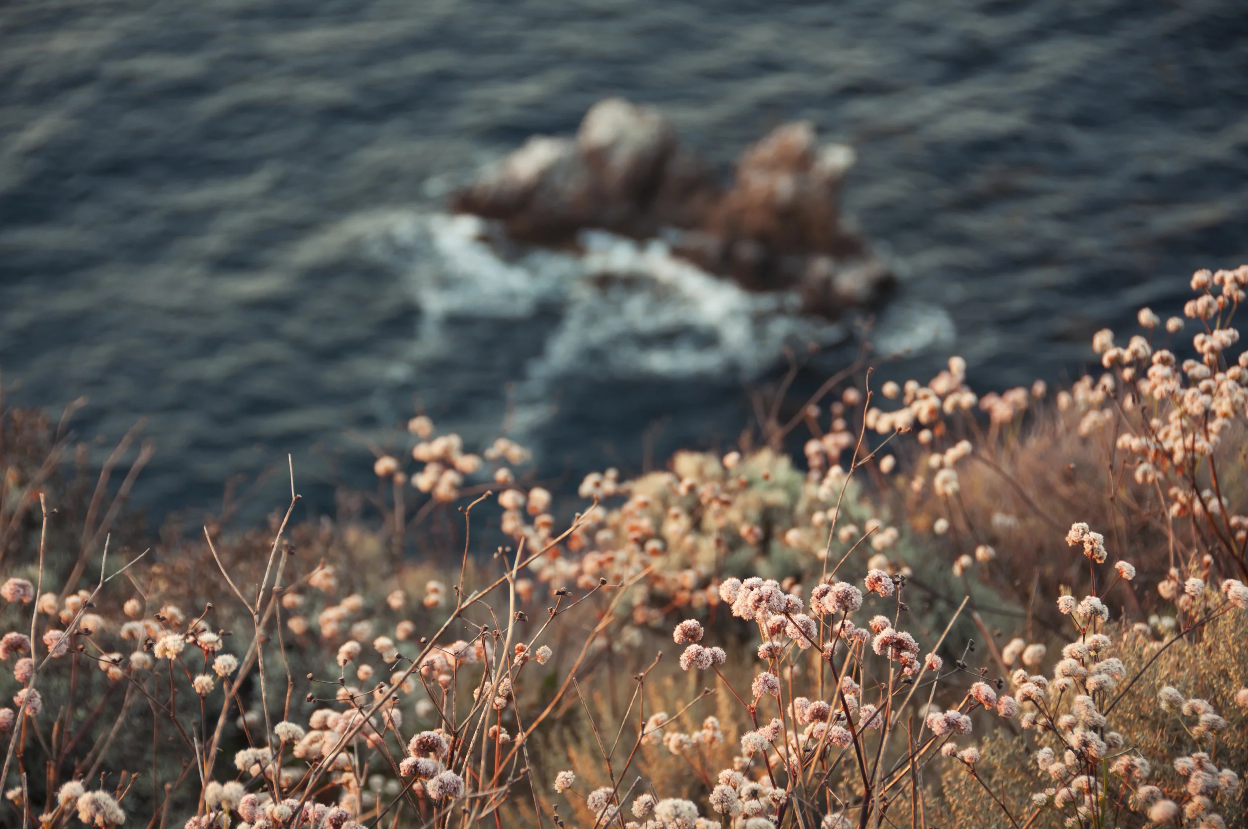 Transient
