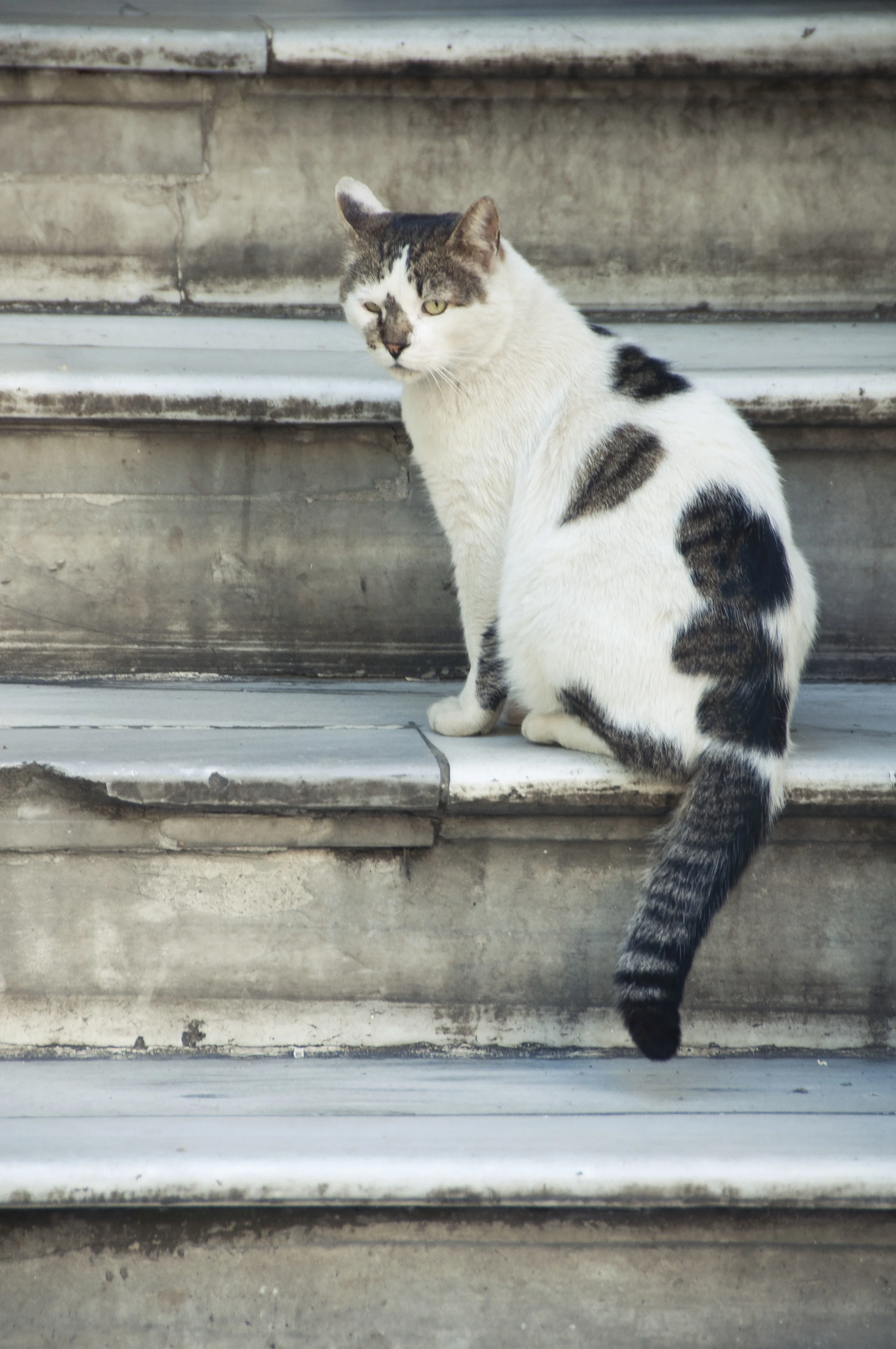 Istanbul201308.jpg