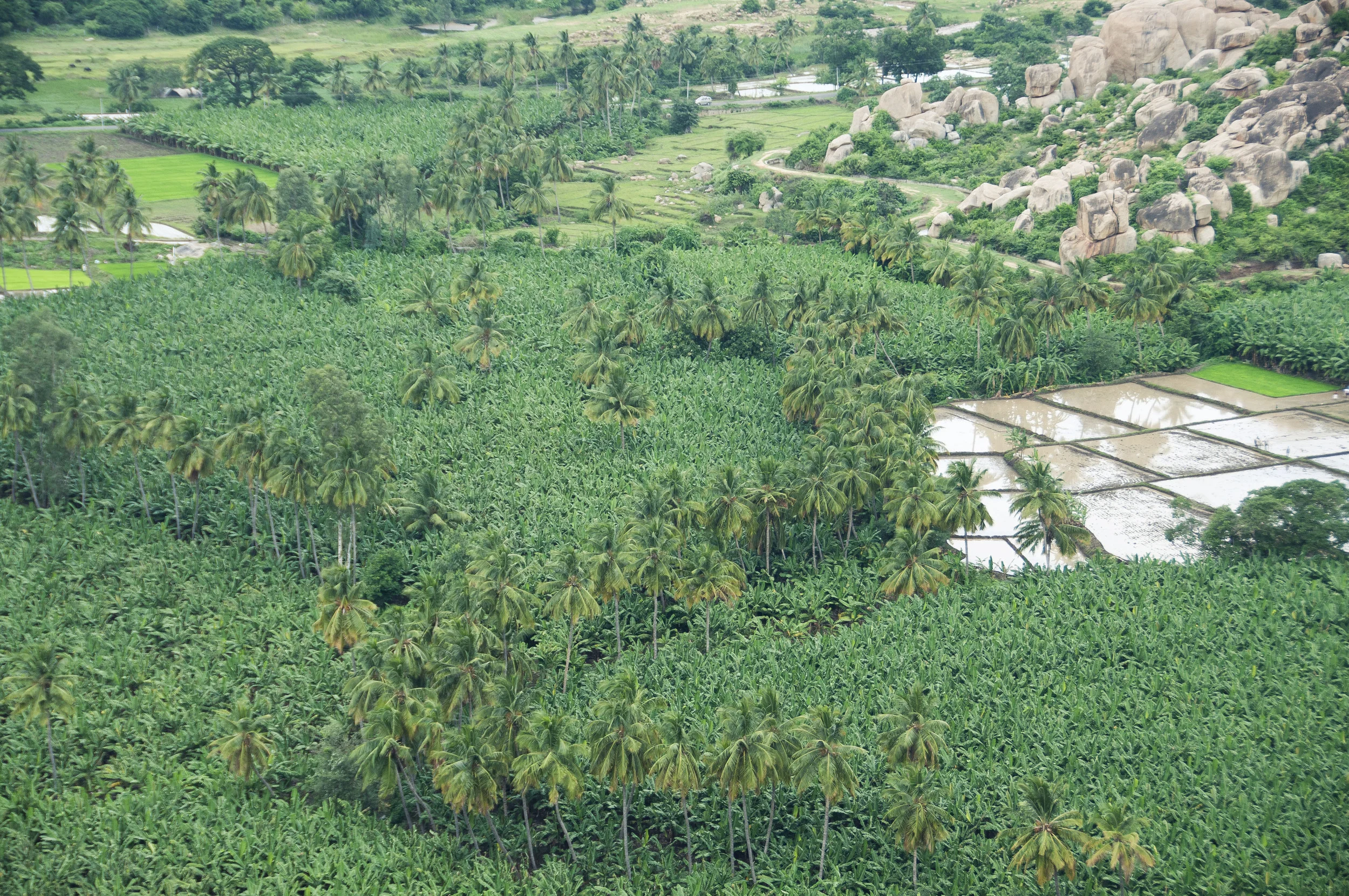 Hampi3091.jpg