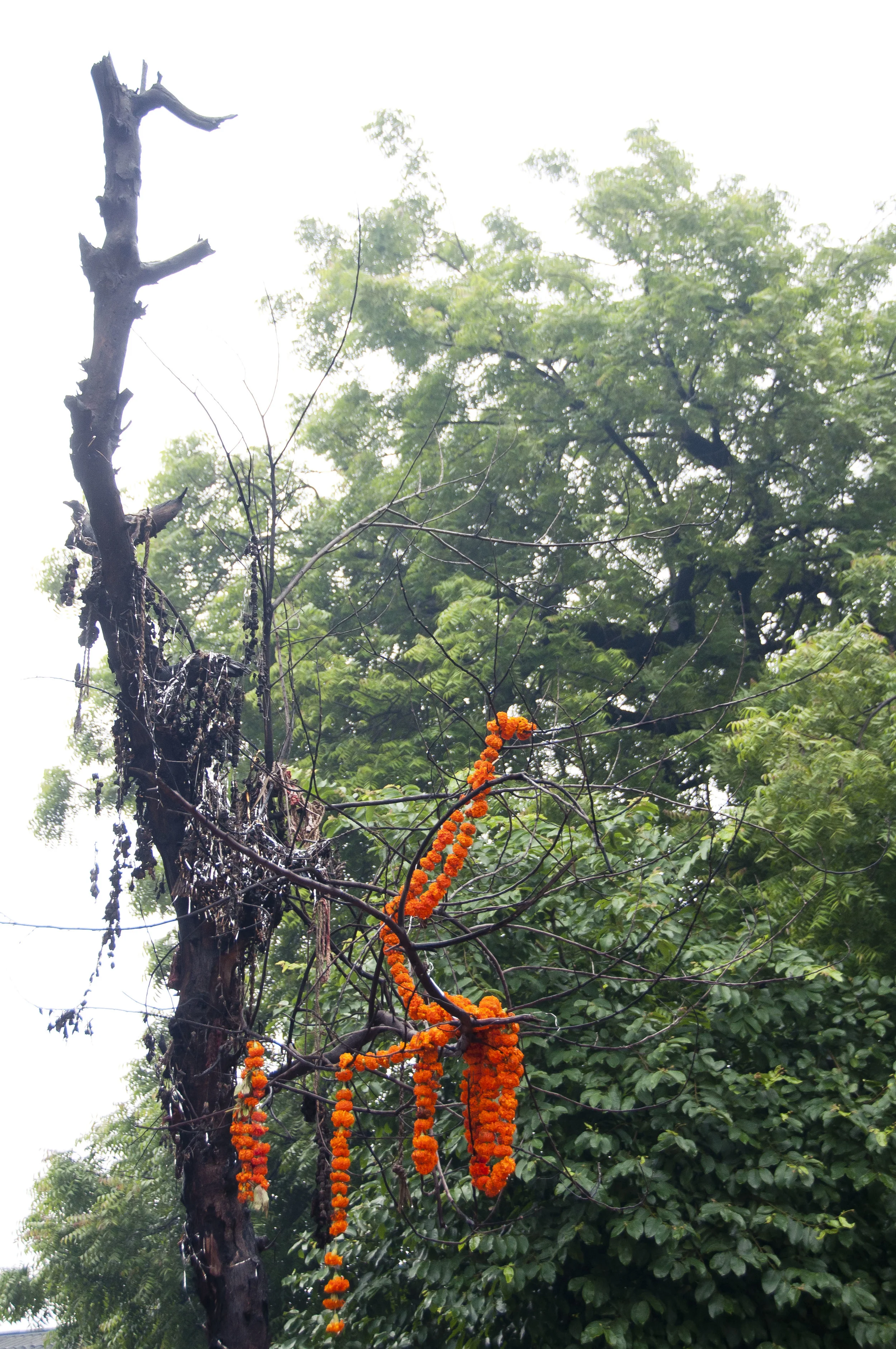 AhmedabadDayTwo071.jpg