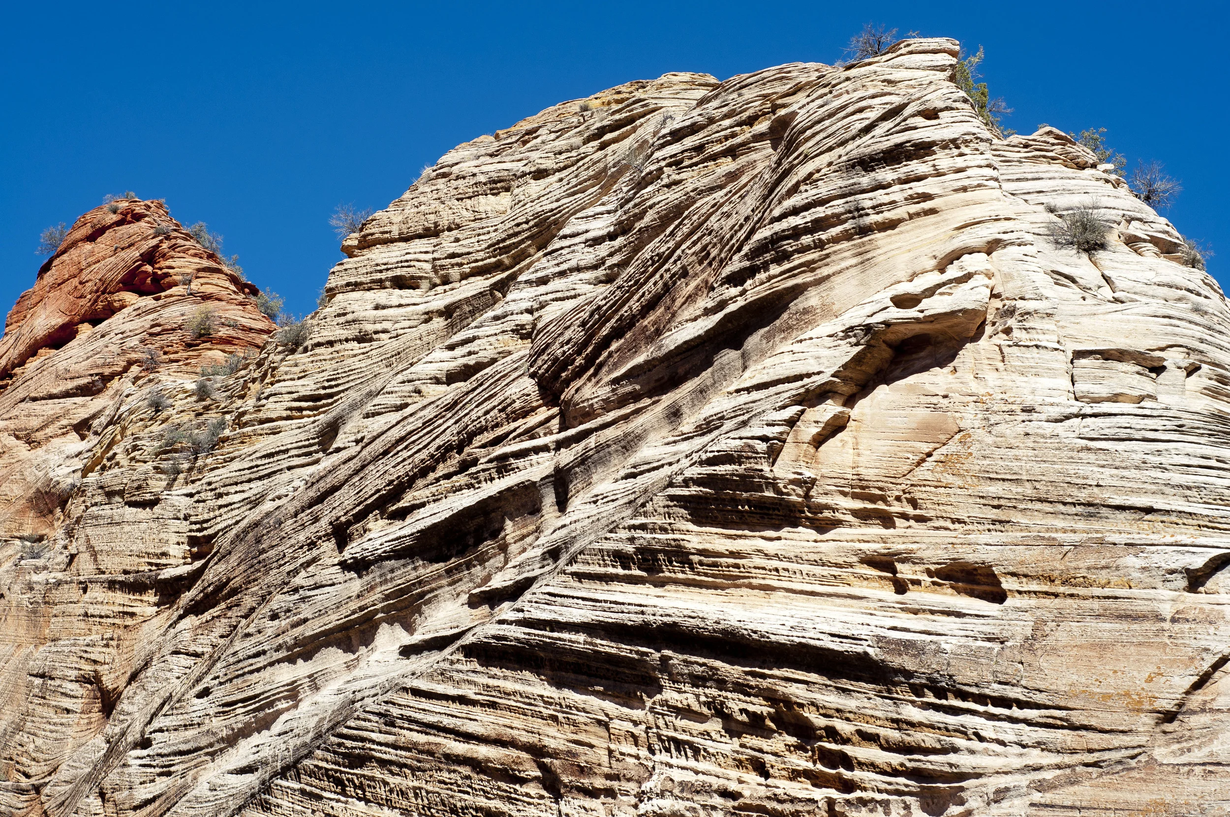 ZionNationalPark021.jpg