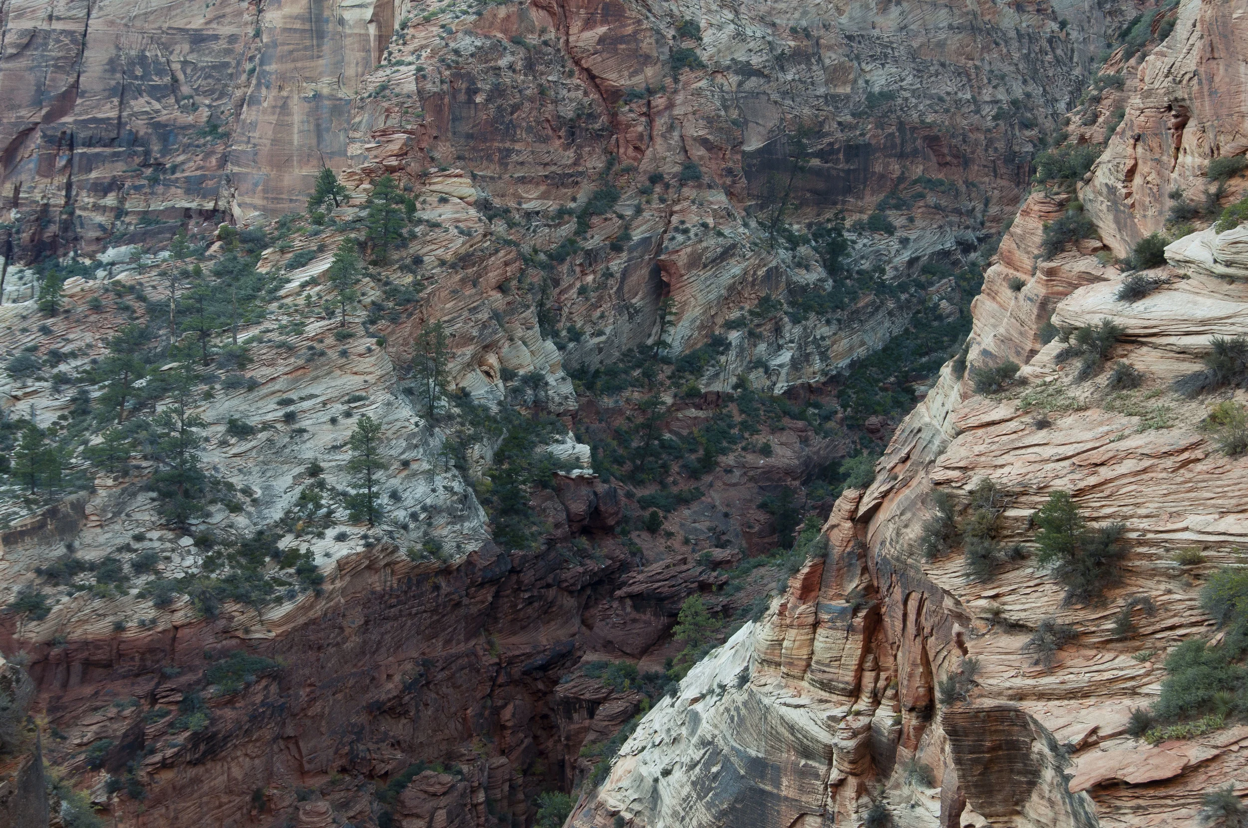 ZionNationalPark451.jpg