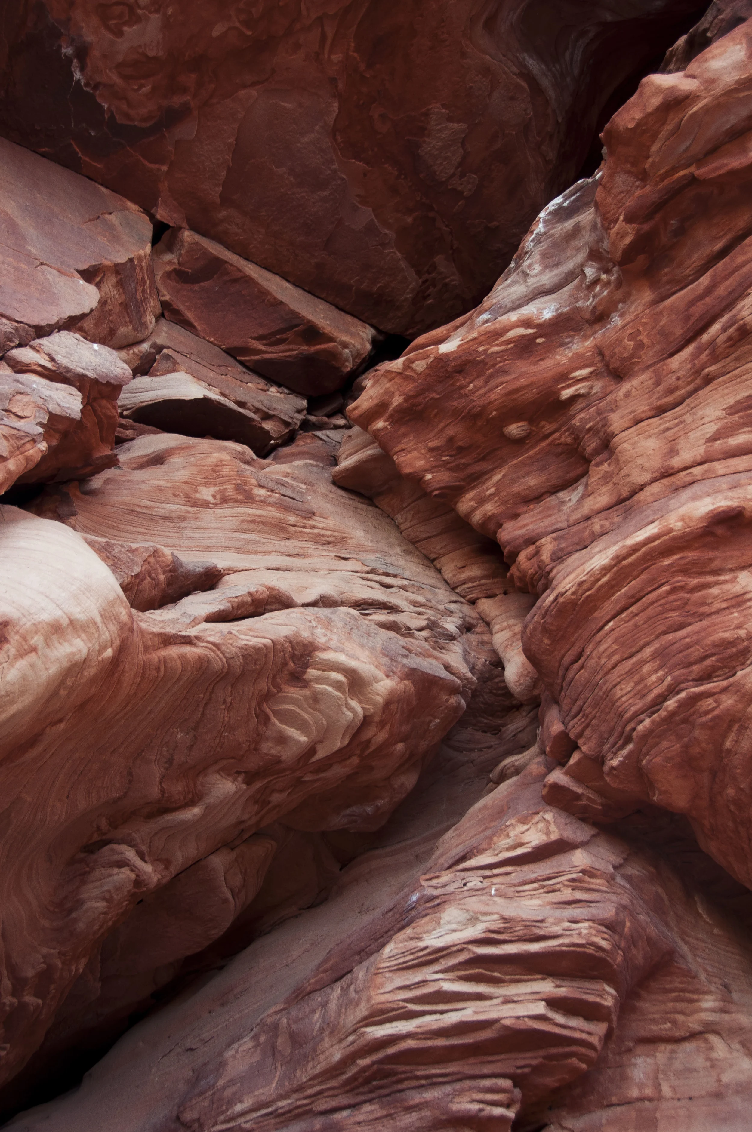ZionNationalPark371.jpg