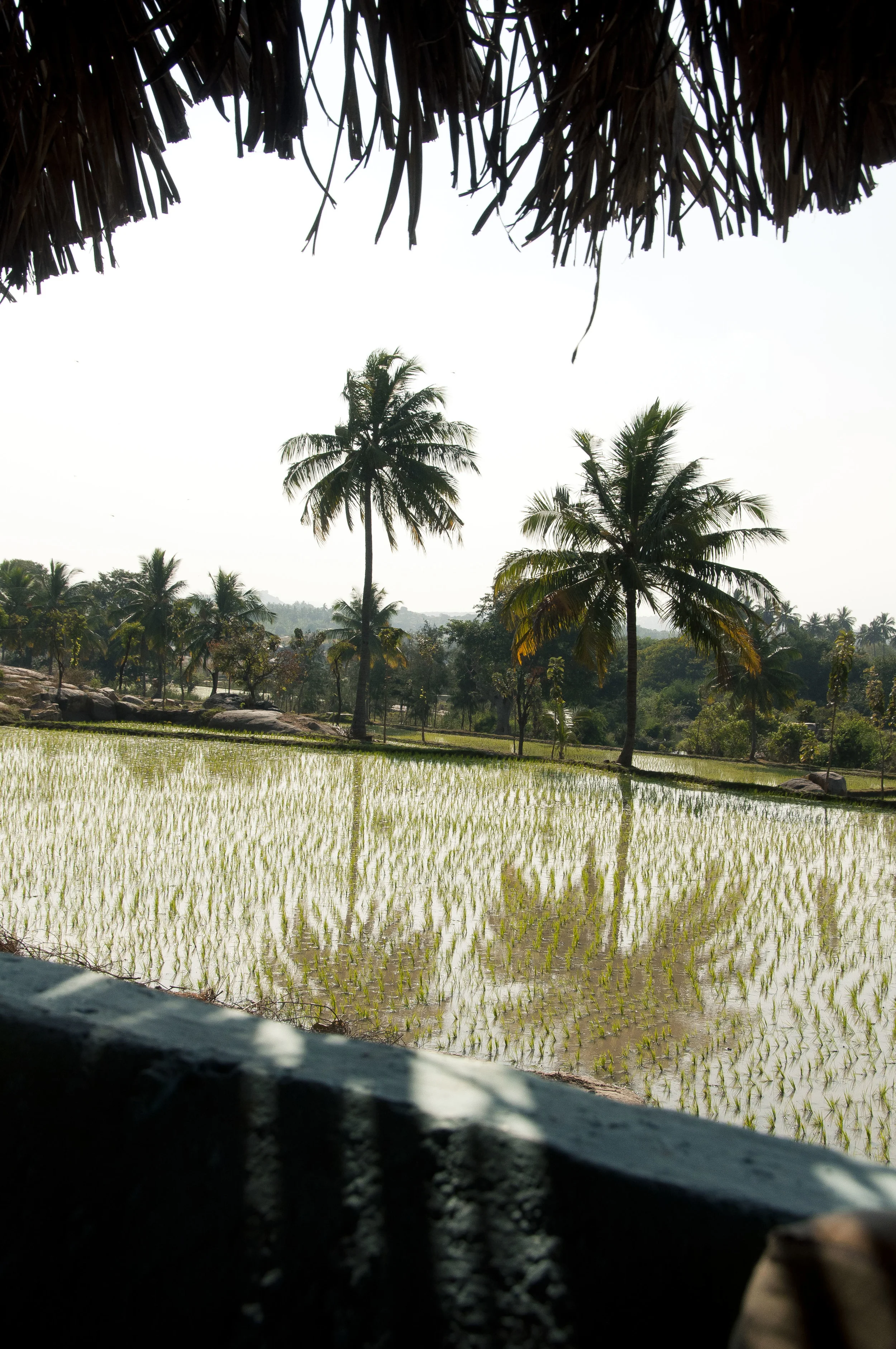 HampiDayOne00181.jpg
