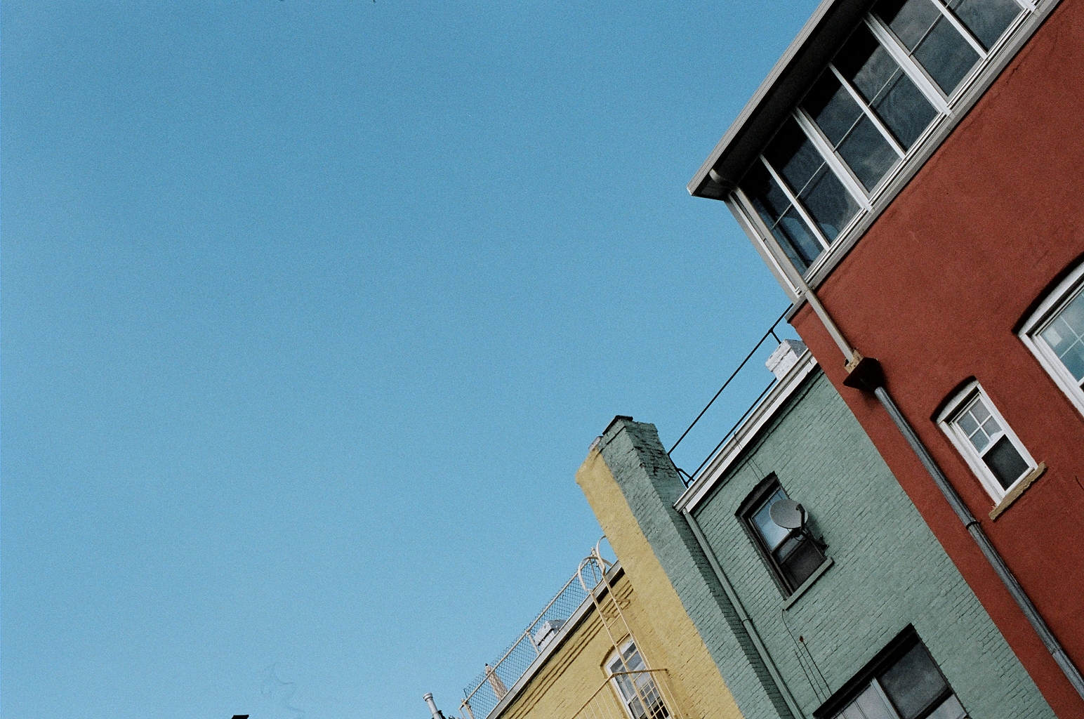 Crown Heights, NY // A new neighborhood to fall in love with. 