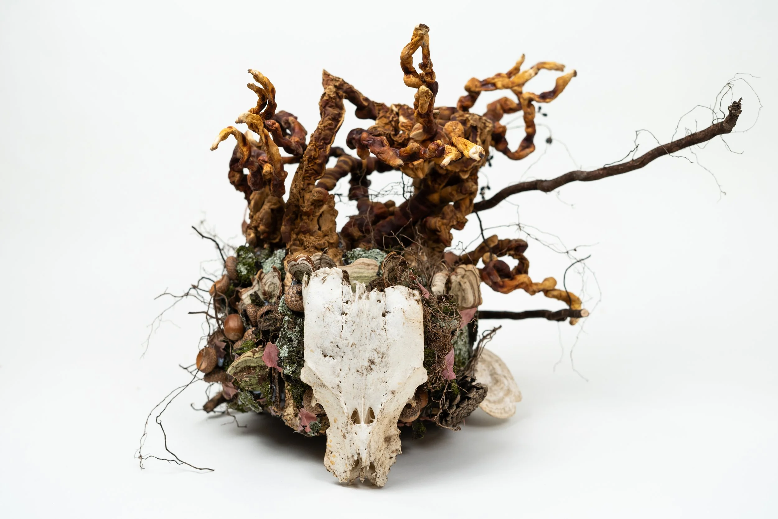 Halloween2024Headpiece_KimWebb-2.jpg