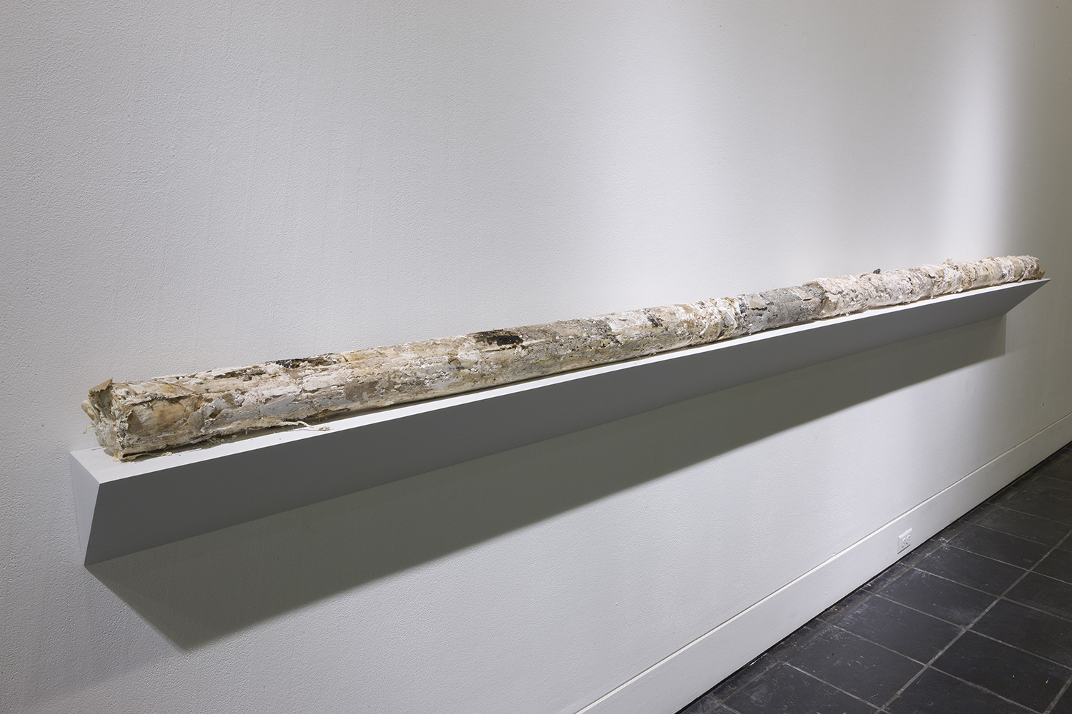 Tamara Mann referred to it as “a way of taking the physical world’s temperature.”