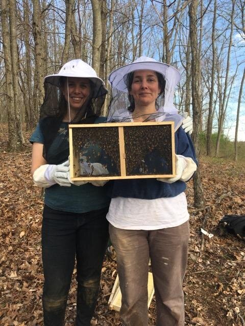  We began beekeeping at Zippitydirtdada in April of 2019. Through this process we are learning about bee behavior, the importance of dance and working hard, pollination, communication, and ways to support the land and all the living creators that exi