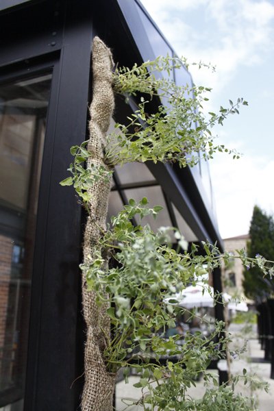   Bus Stop Intervention,  Unexpected Guests, Art al Fresco, Outdoor Installation Juried by the Short North Business Association, 2011, Mint plants, dirt, burlap, monofilament, Velcro, 15’ x 11’ x 5’ 