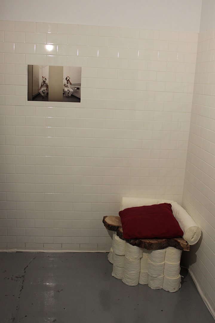 Photography by Danielle Julian Norton, toilet paper seat by Bec Ulrich (artist in residence) 