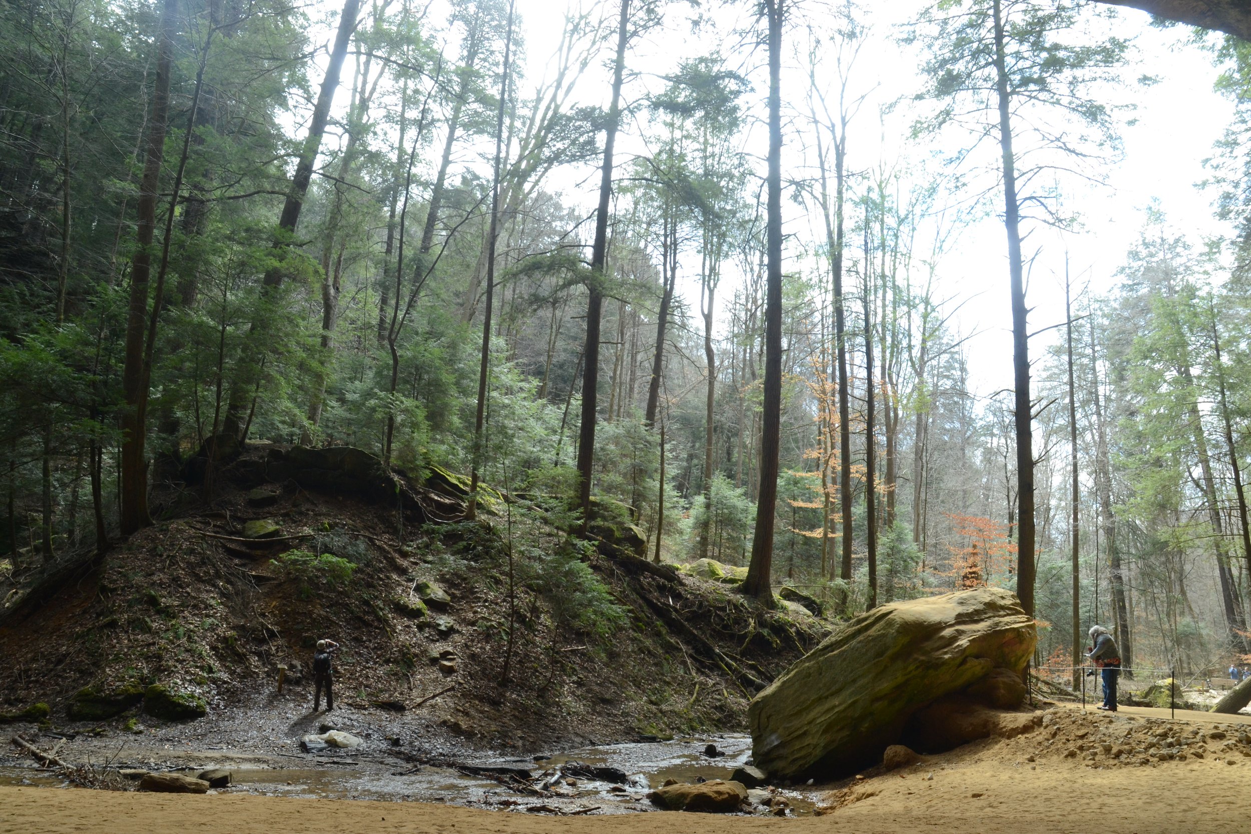  We are a vibrant community of artists dedicated to using photography as a tool for self-expression, personal growth, and social change within the journey of mental health recovery. 2022, Ash Cave Field Trip, Being in Nature Class.  