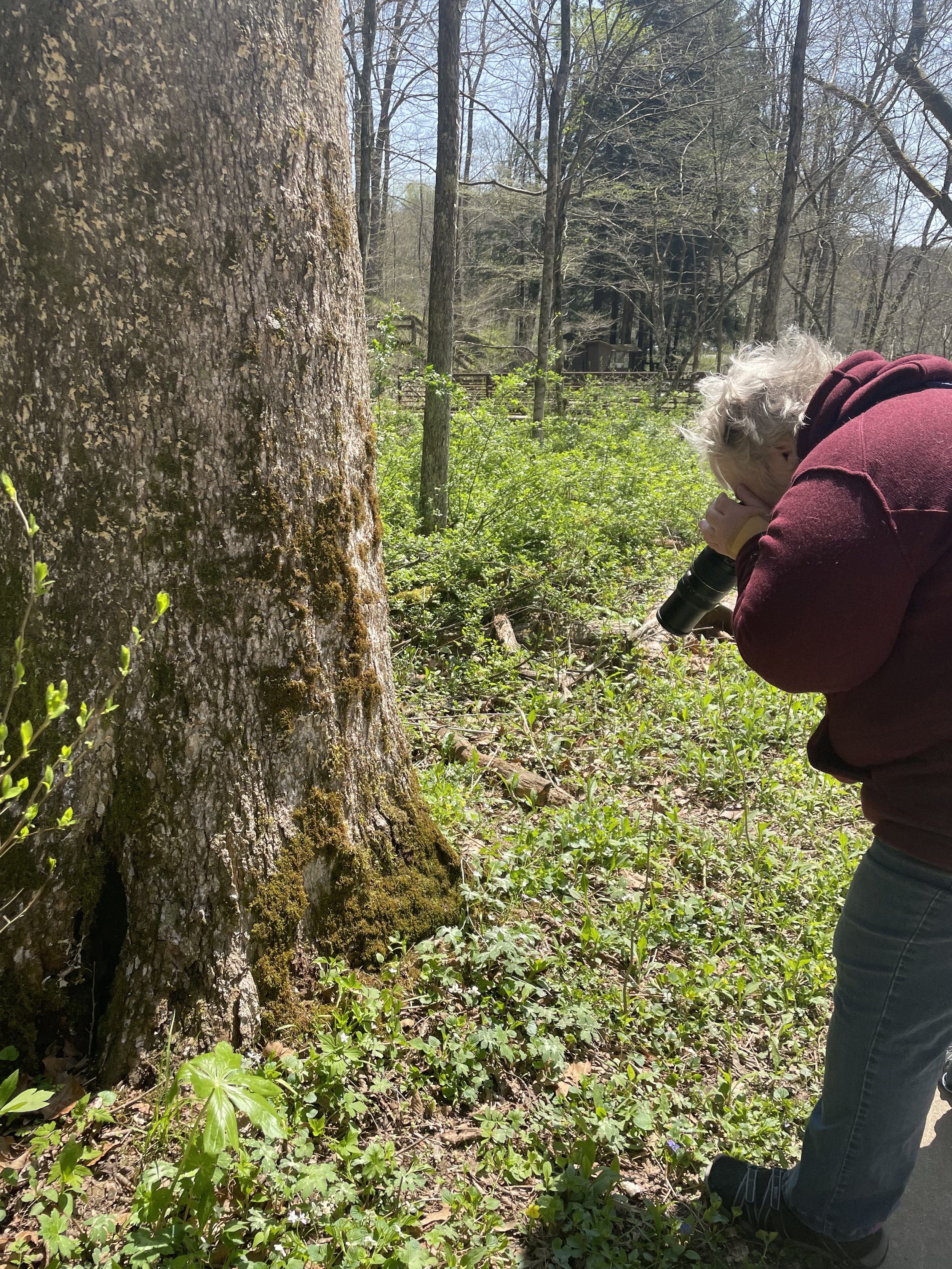  2022, Conkle's Hollow field trip, Being in Nature Class.  