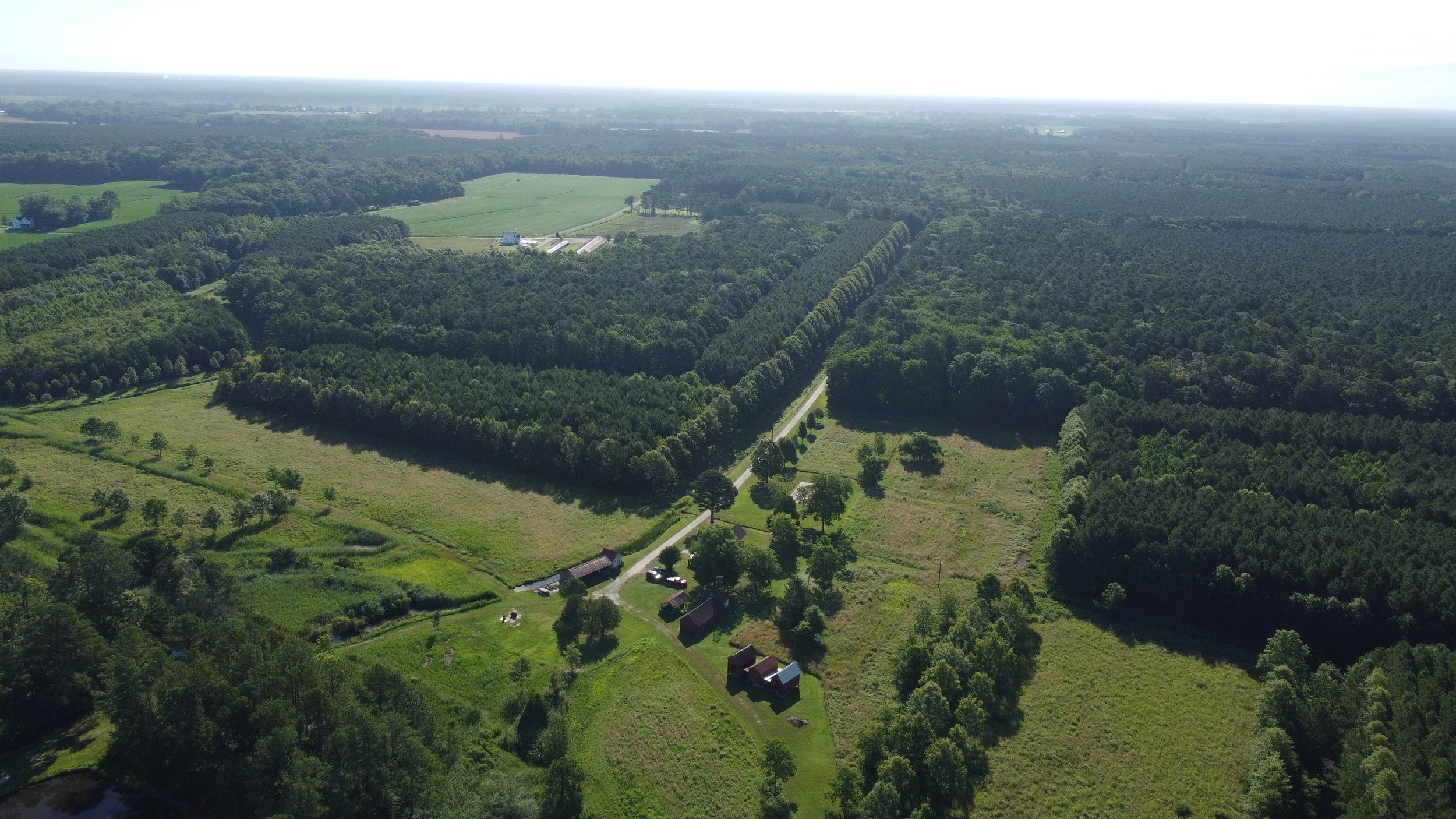 DJI_0096.JPG