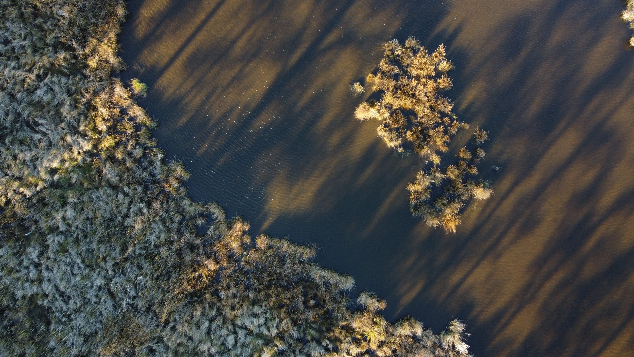 DJI_0624.JPG