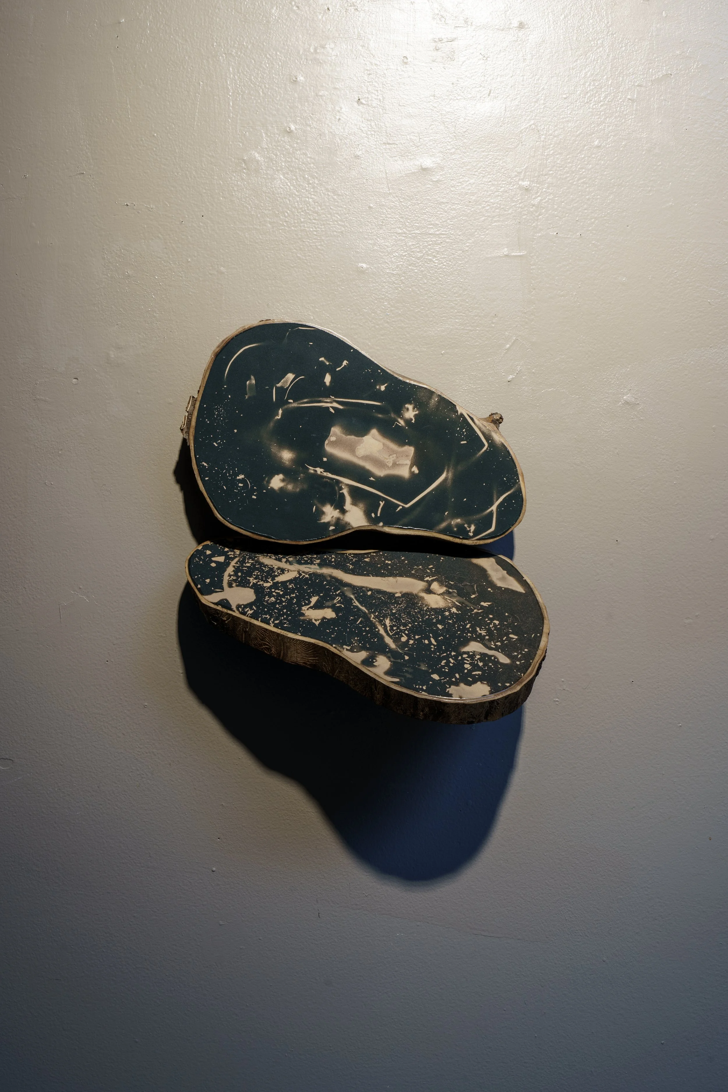 Compost/Cosmos Cyanotypes