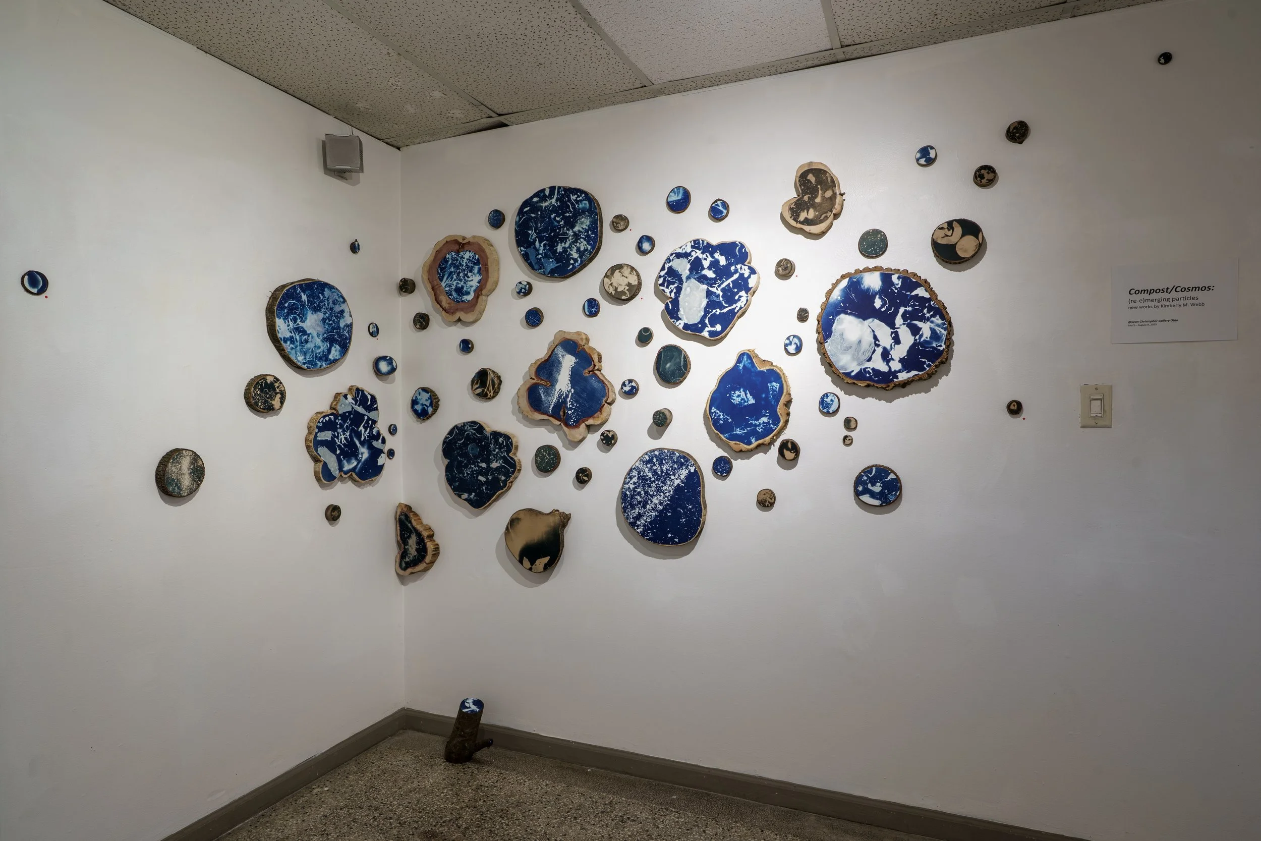 Compost/Cosmos Cyanotypes Installation