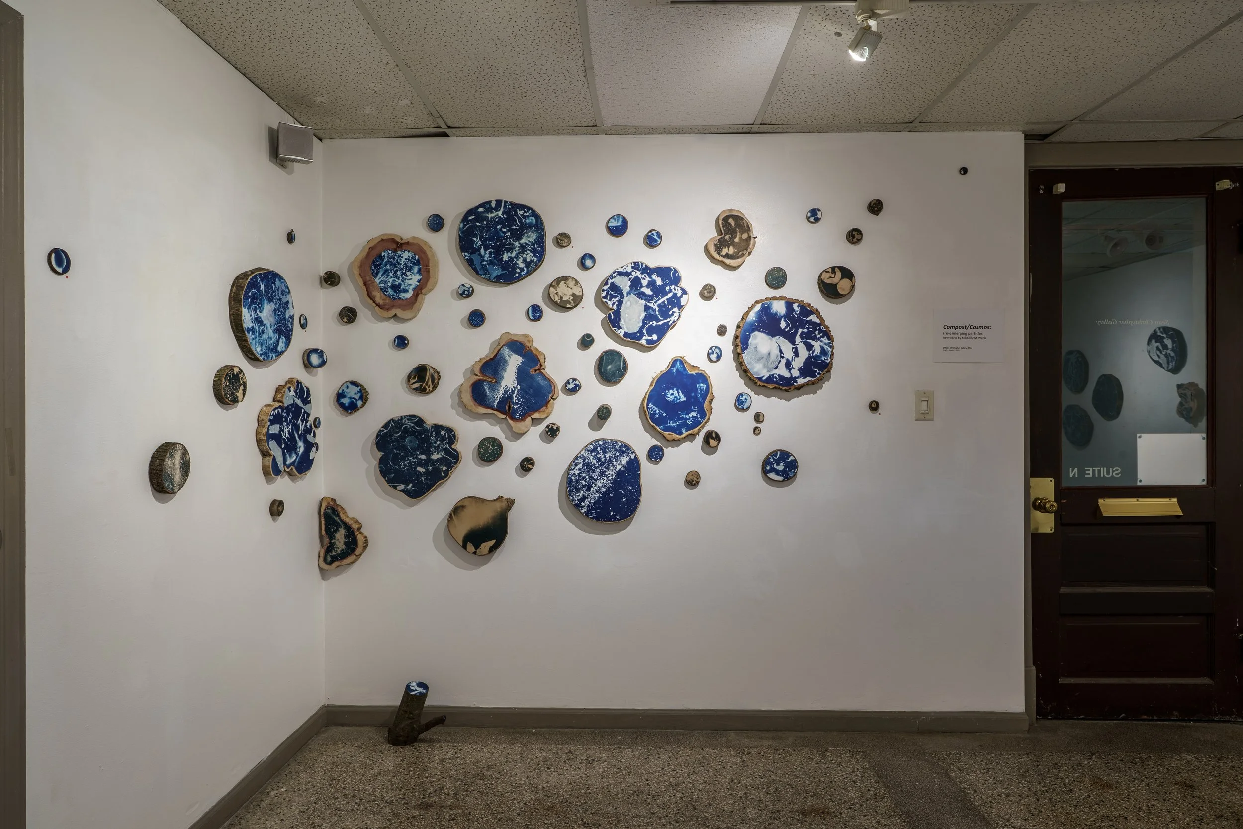 Compost/Cosmos Cyanotypes Installation