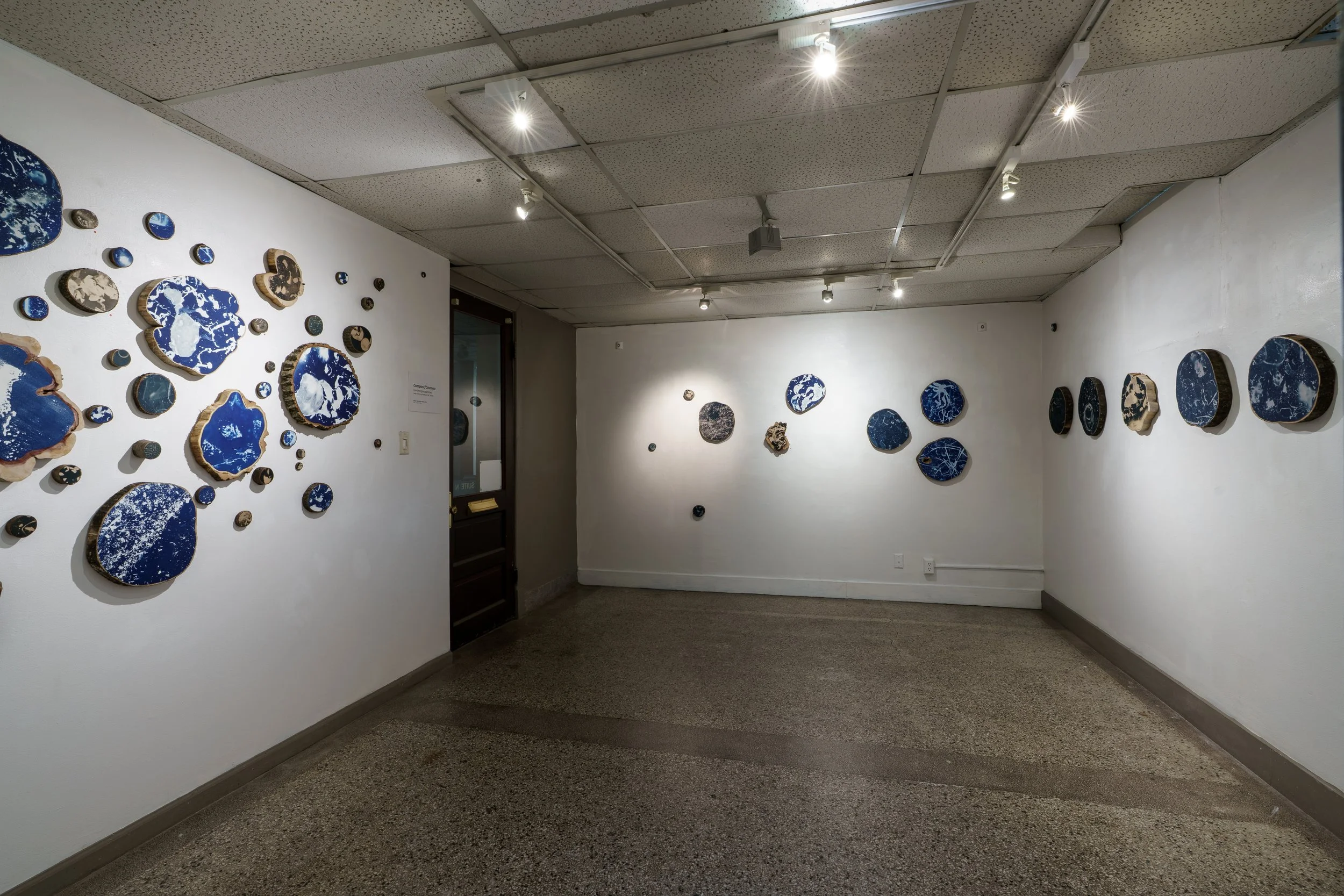 Compost/Cosmos Cyanotypes Installation