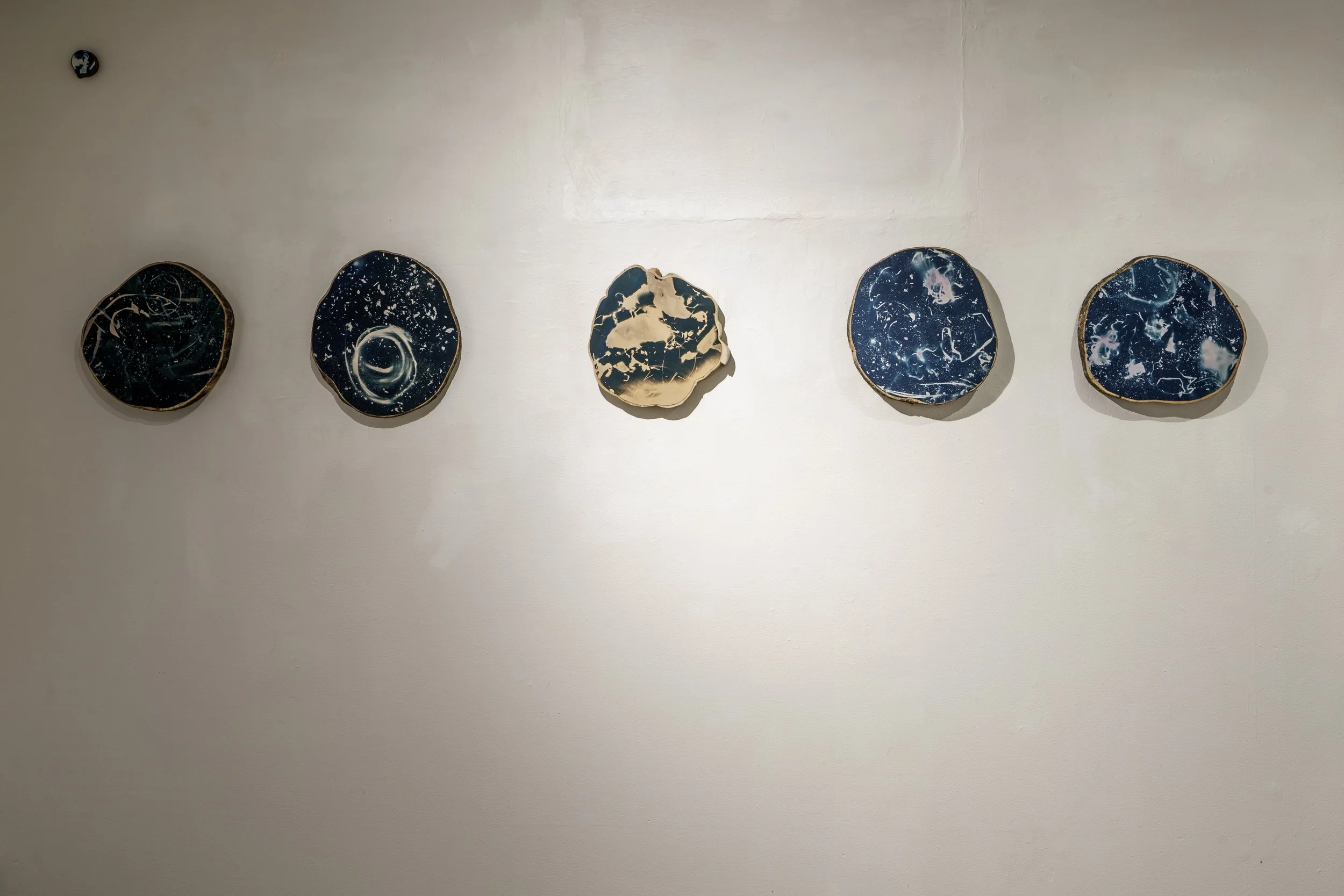 Compost/Cosmos Cyanotypes