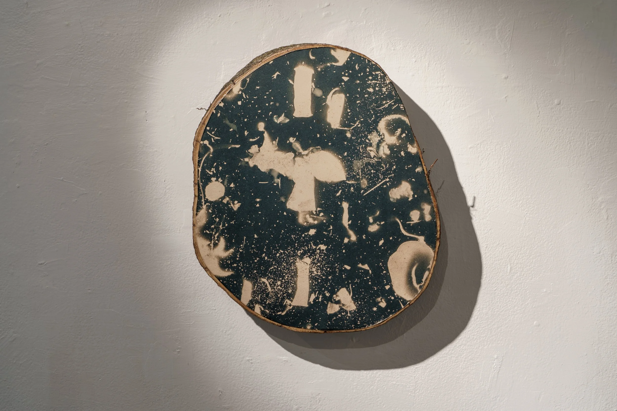 Compost/Cosmos Cyanotype