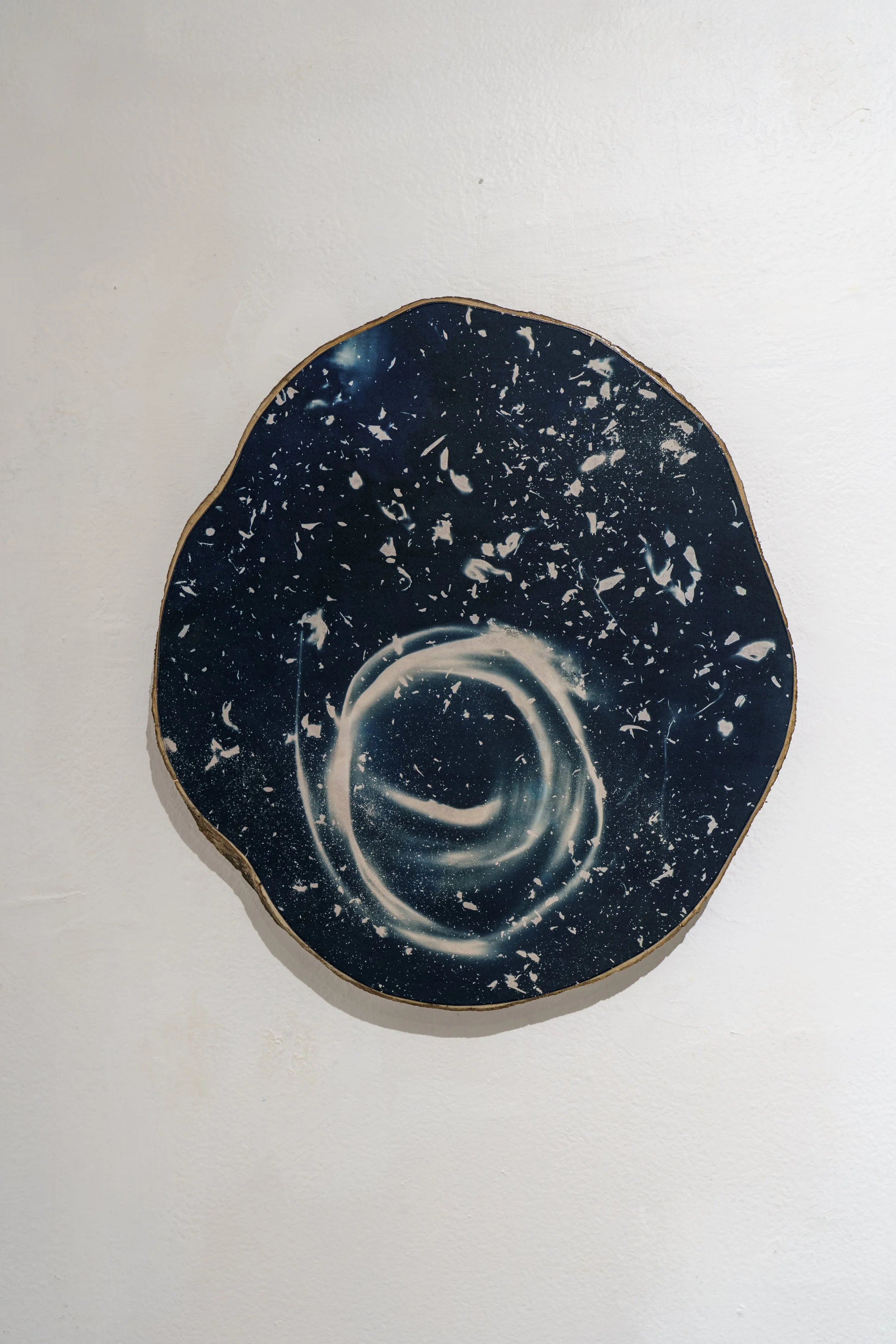 Compost/Cosmos Cyanotype