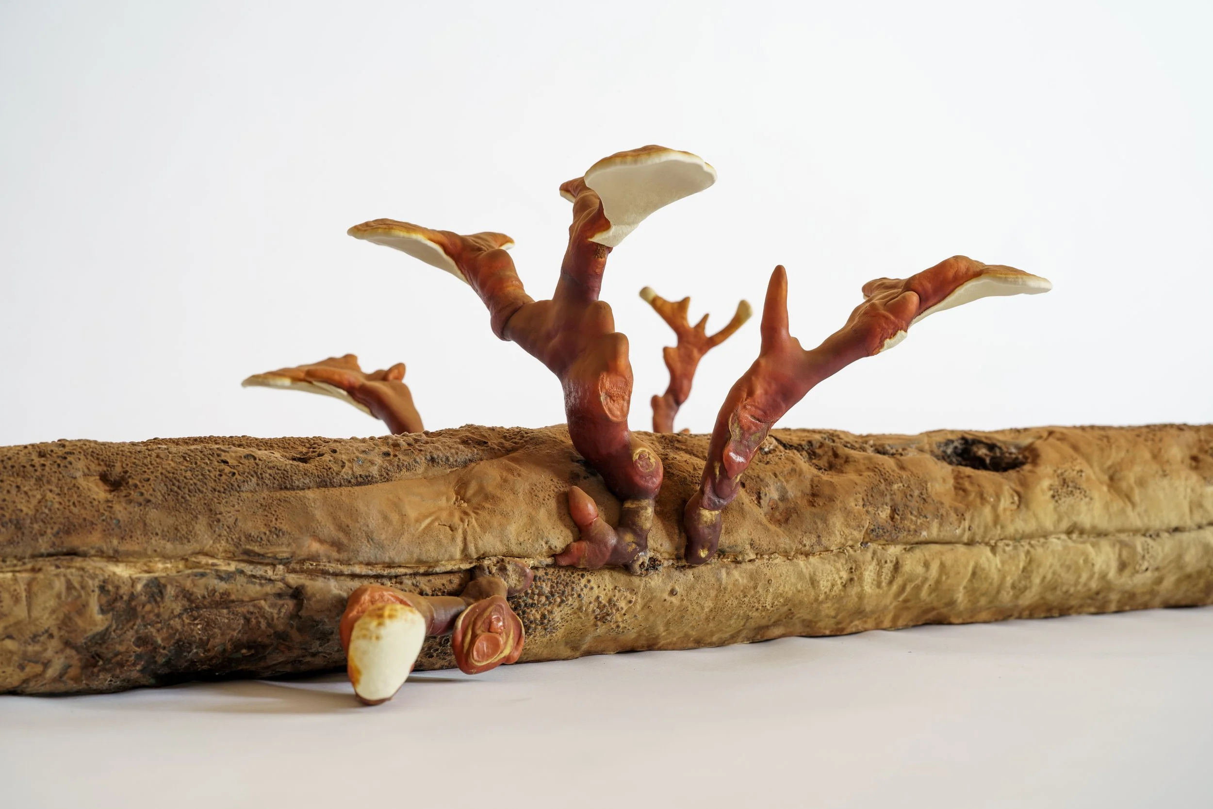 Webb_CompostCosmos_Reishi Log_Some Stuff Remix-3.JPG