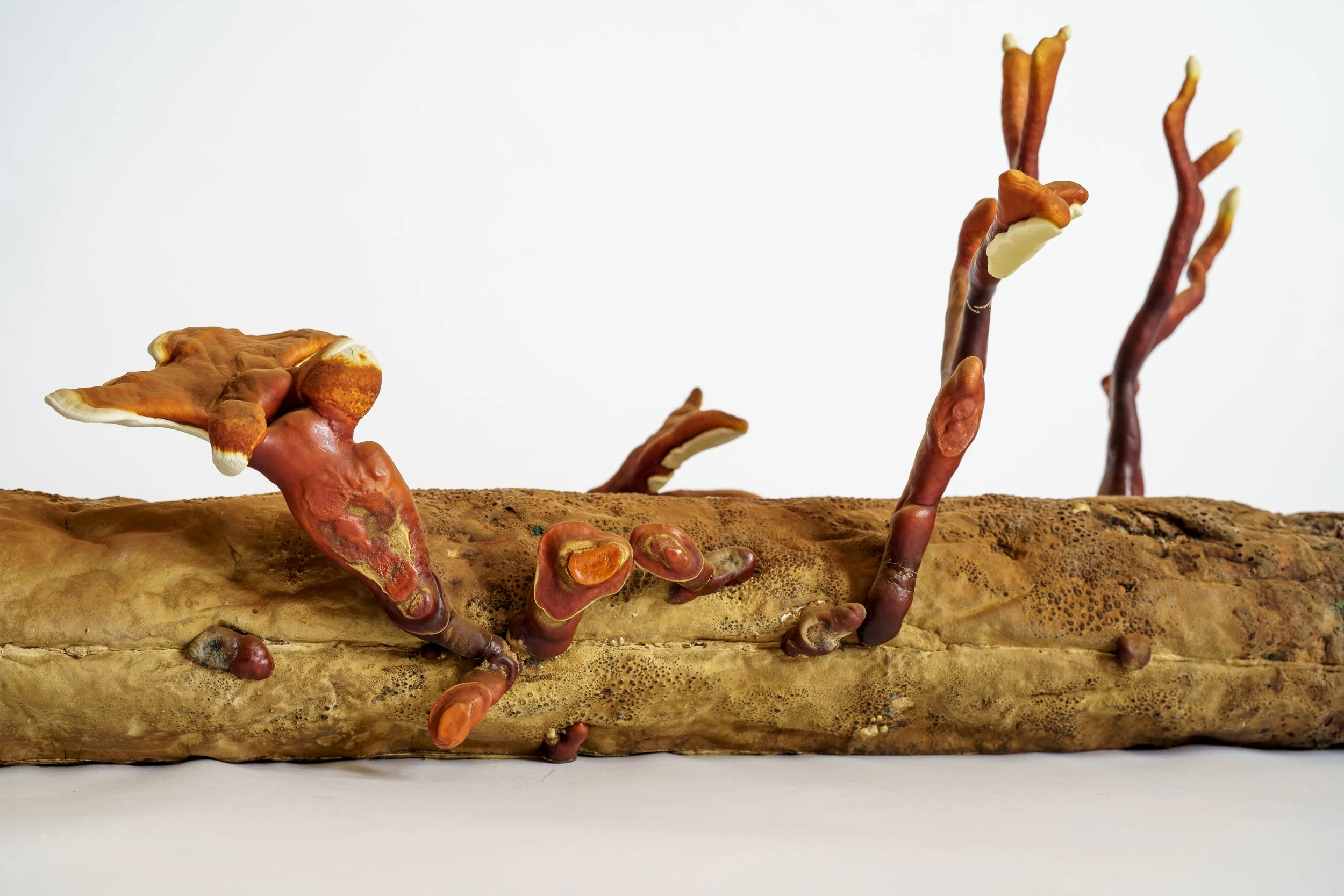 Webb_CompostCosmos_Reishi Log_Some Stuff Remix-5.JPG