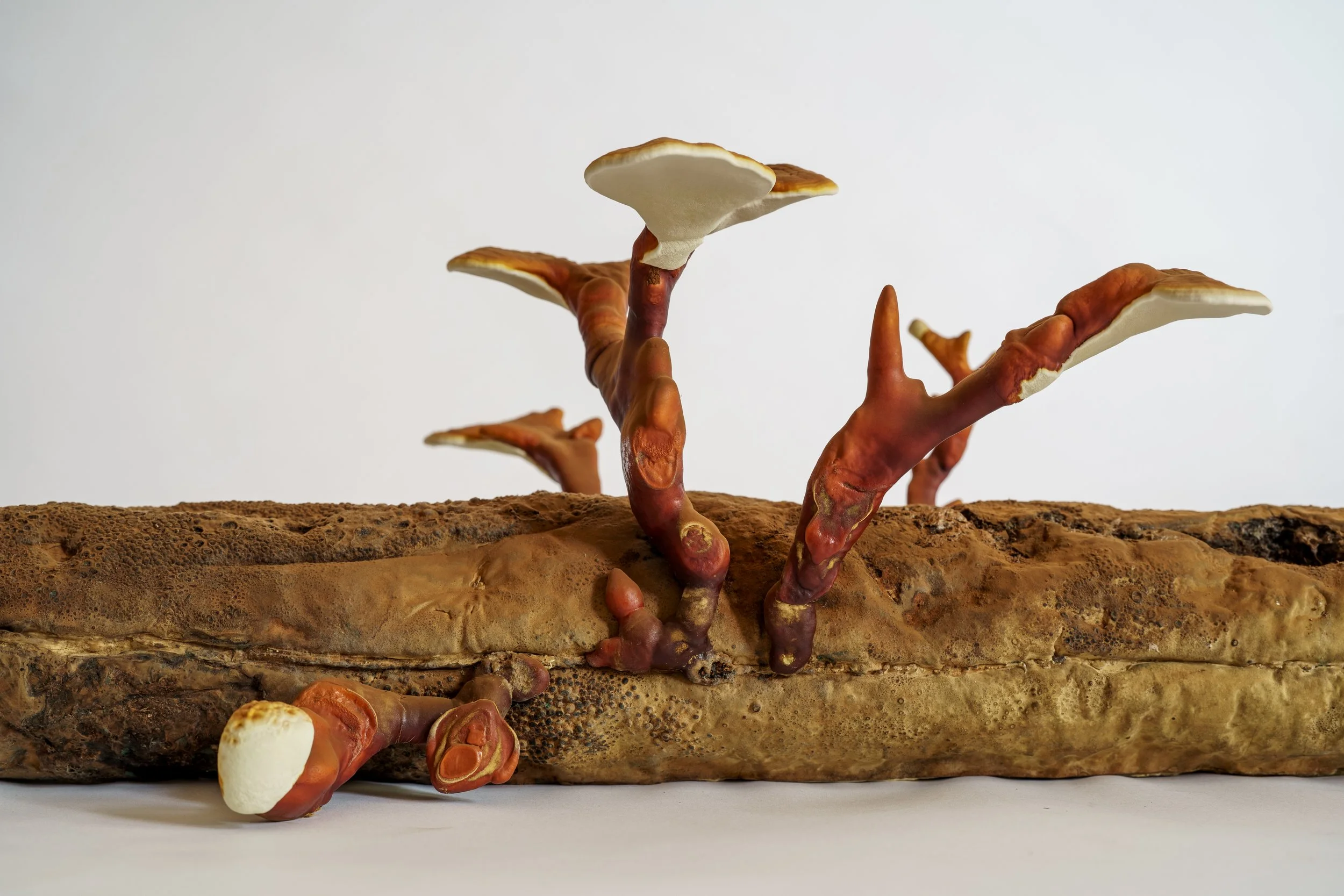 Webb_CompostCosmos_Reishi Log_Some Stuff Remix-4.JPG