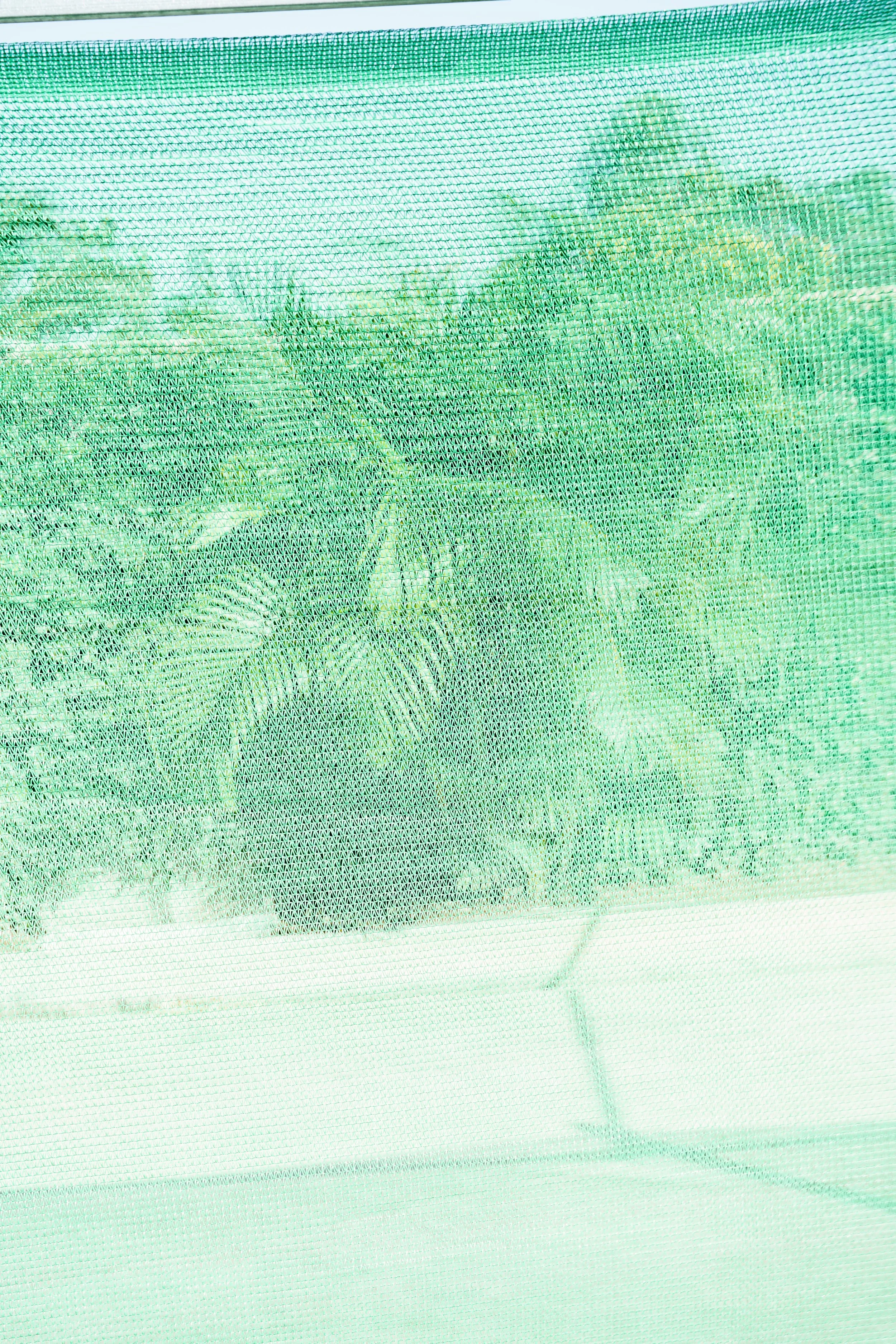 20251207-DSC09078.jpg