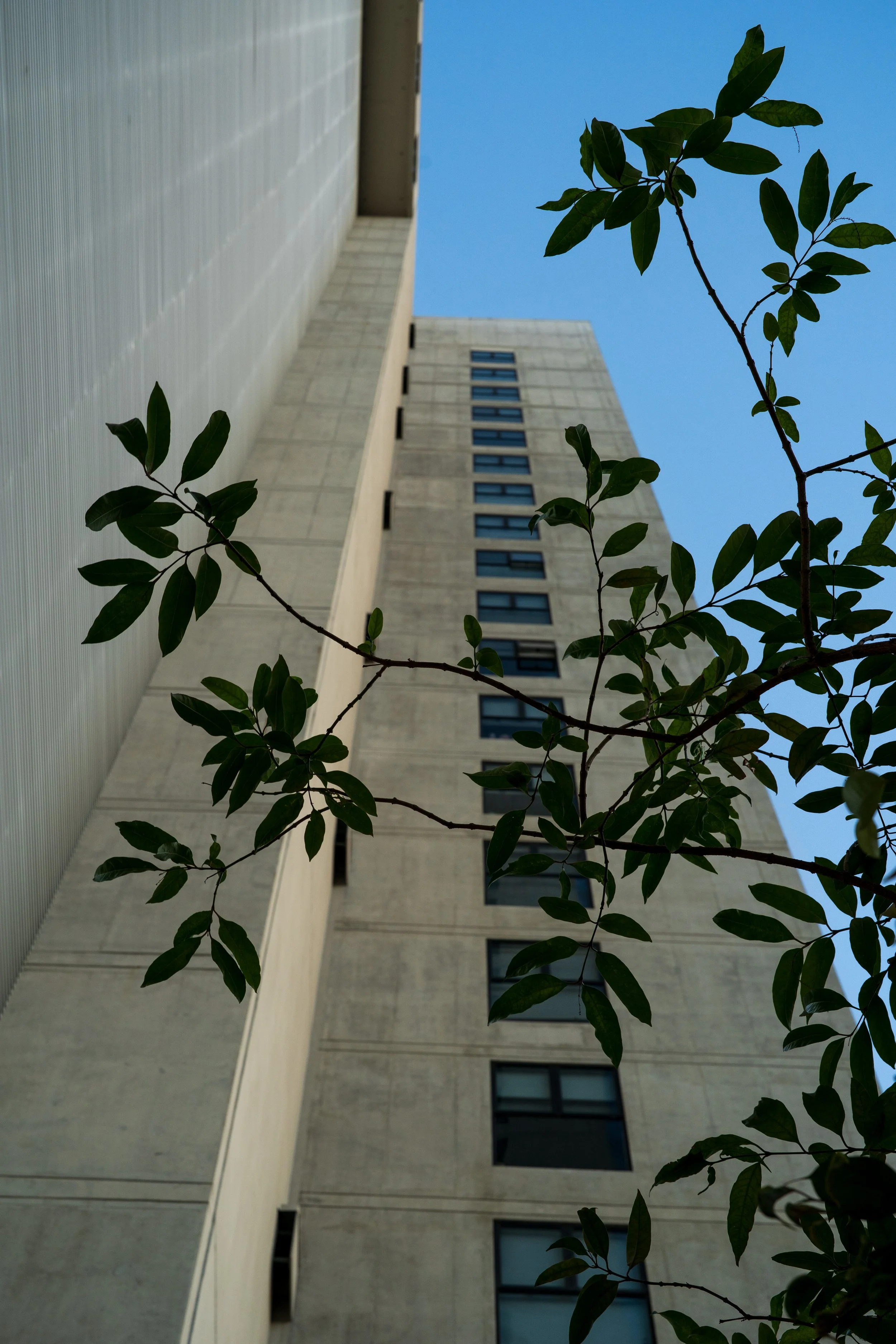 DSC09792.JPG