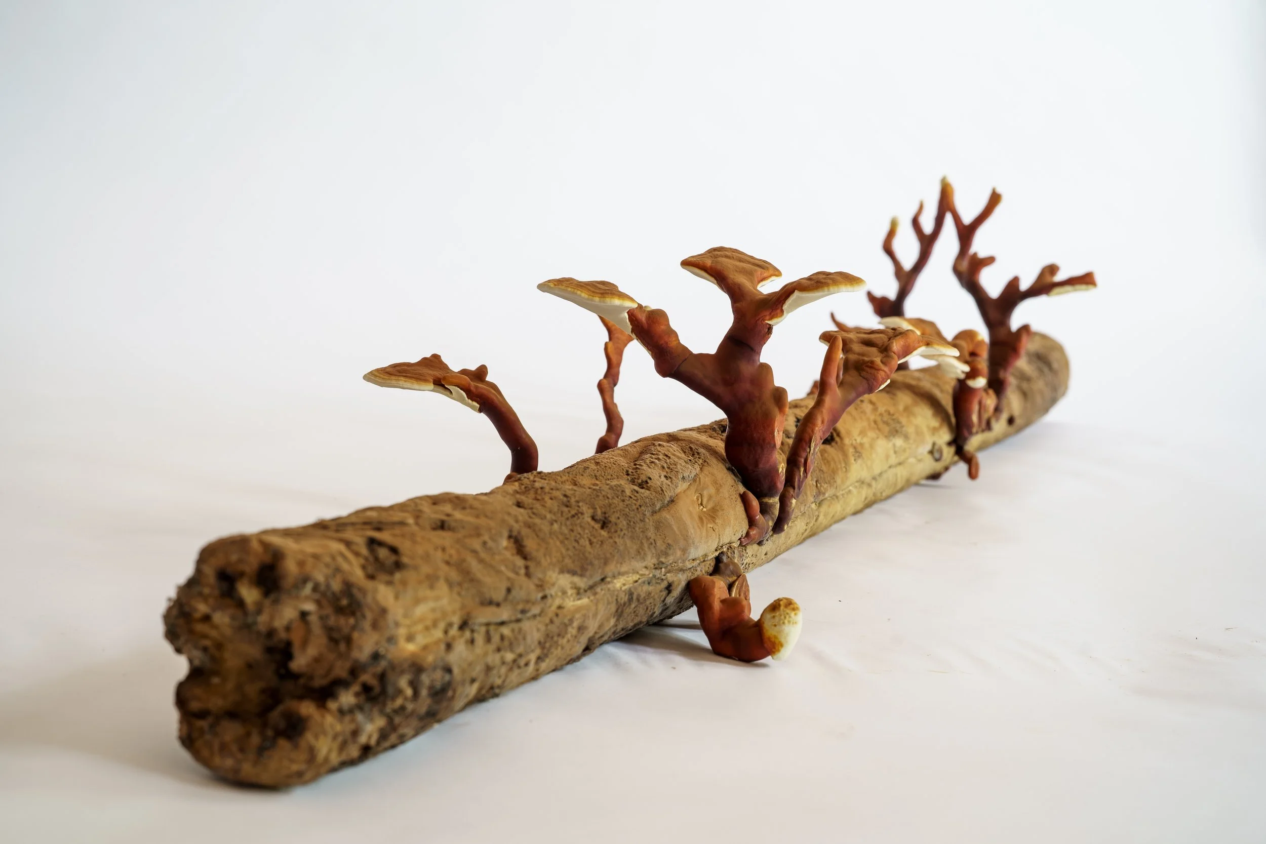 Webb_CompostCosmos_Reishi Log_Some Stuff Remix-12.JPG