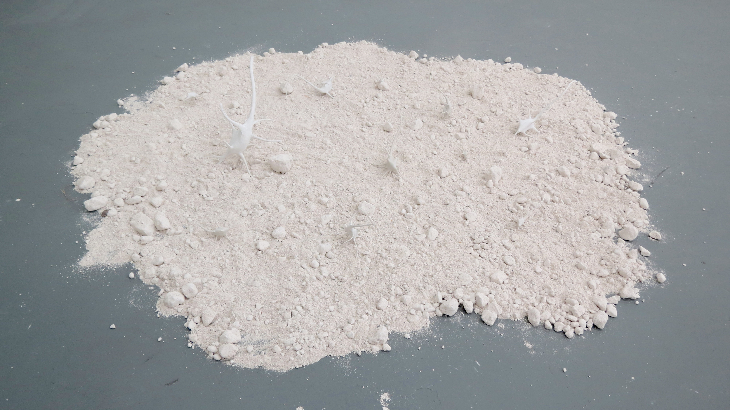 Landscape No. 2 2016 / 3D printed models of neurons, used plaster / 4' x' 3'