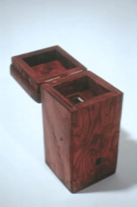 For example, this box contains a single slide found on a busy downtown street in Victoria. The slide was very damaged and difficult to decipher. I absentmindedly carried the slide in my wallet for months, looking at it occasionally. When I finally I