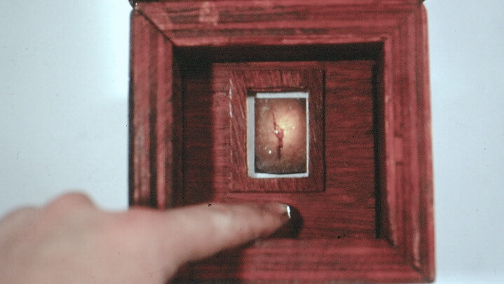 When you press the little red button, a battery powered light illuminates the slide. What do you see?