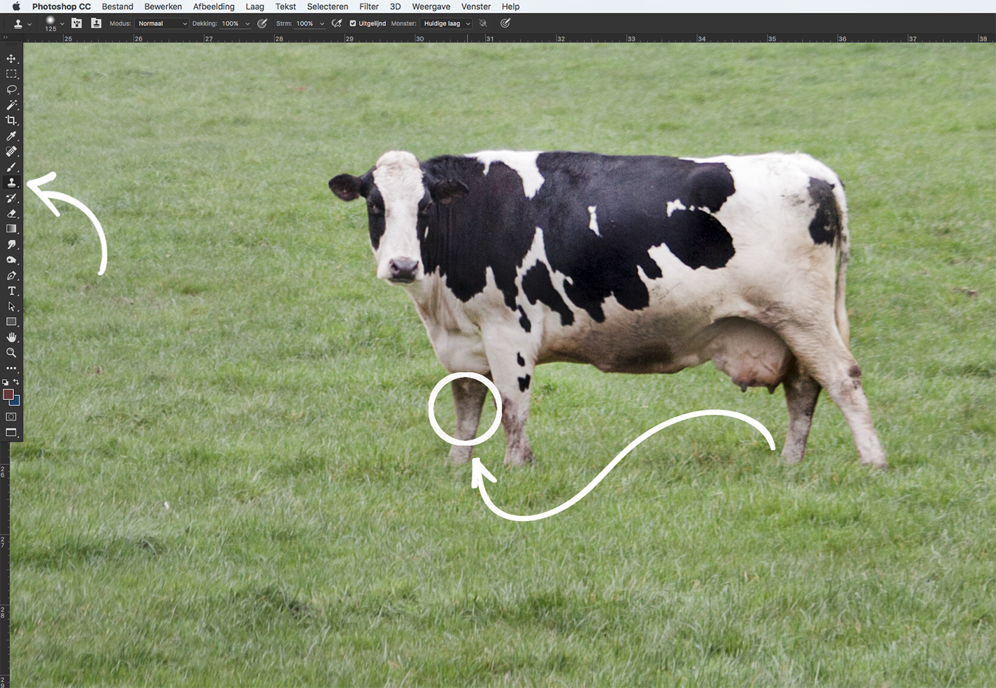 Using the Clone Stamp tool (S) in Photoshop