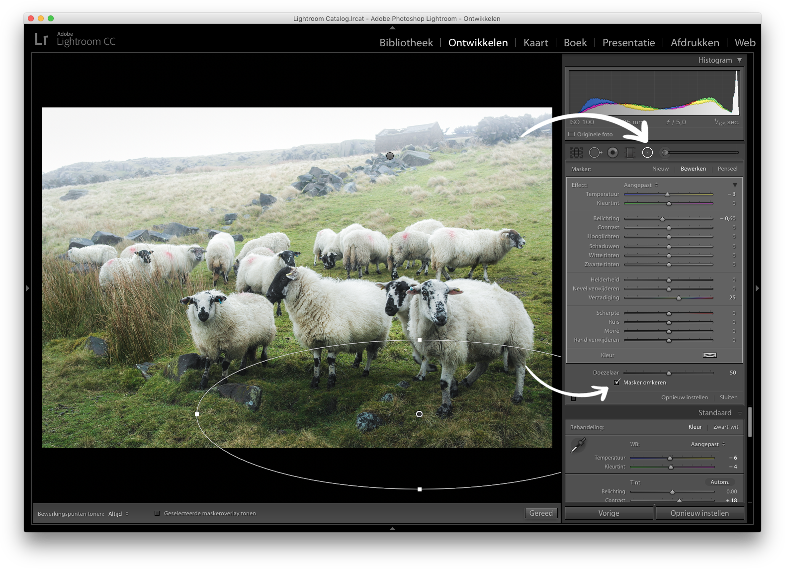 The radial gradient tool and Invert mask