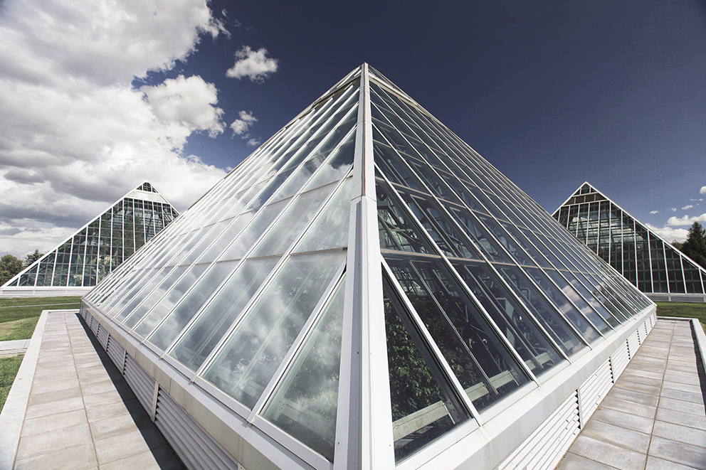 Discover the Muttart Conservatory of Edmonton. Each pyramid offers a unique experience with a year-round escape into the beauty of the world's plant life.