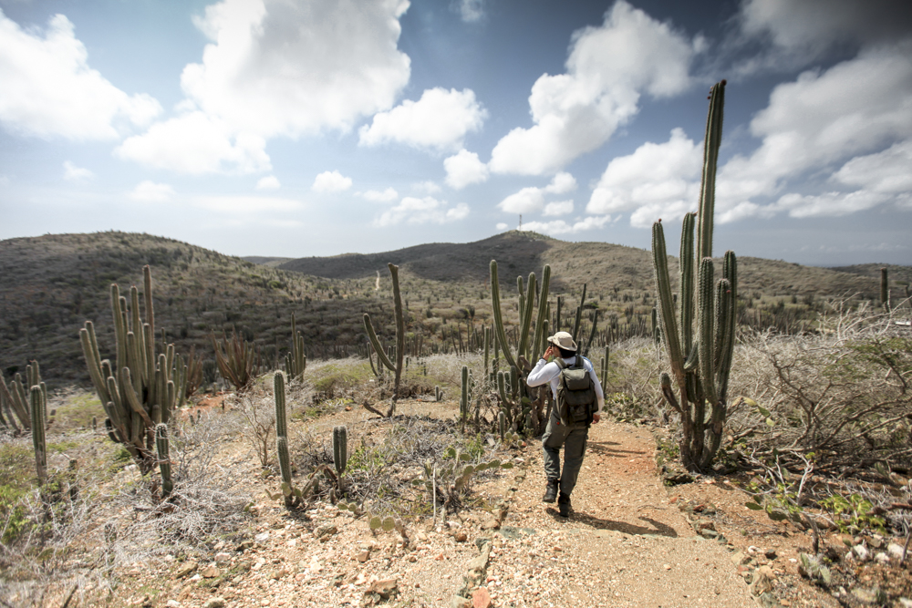 The local guide leading the way through Arikok National Park