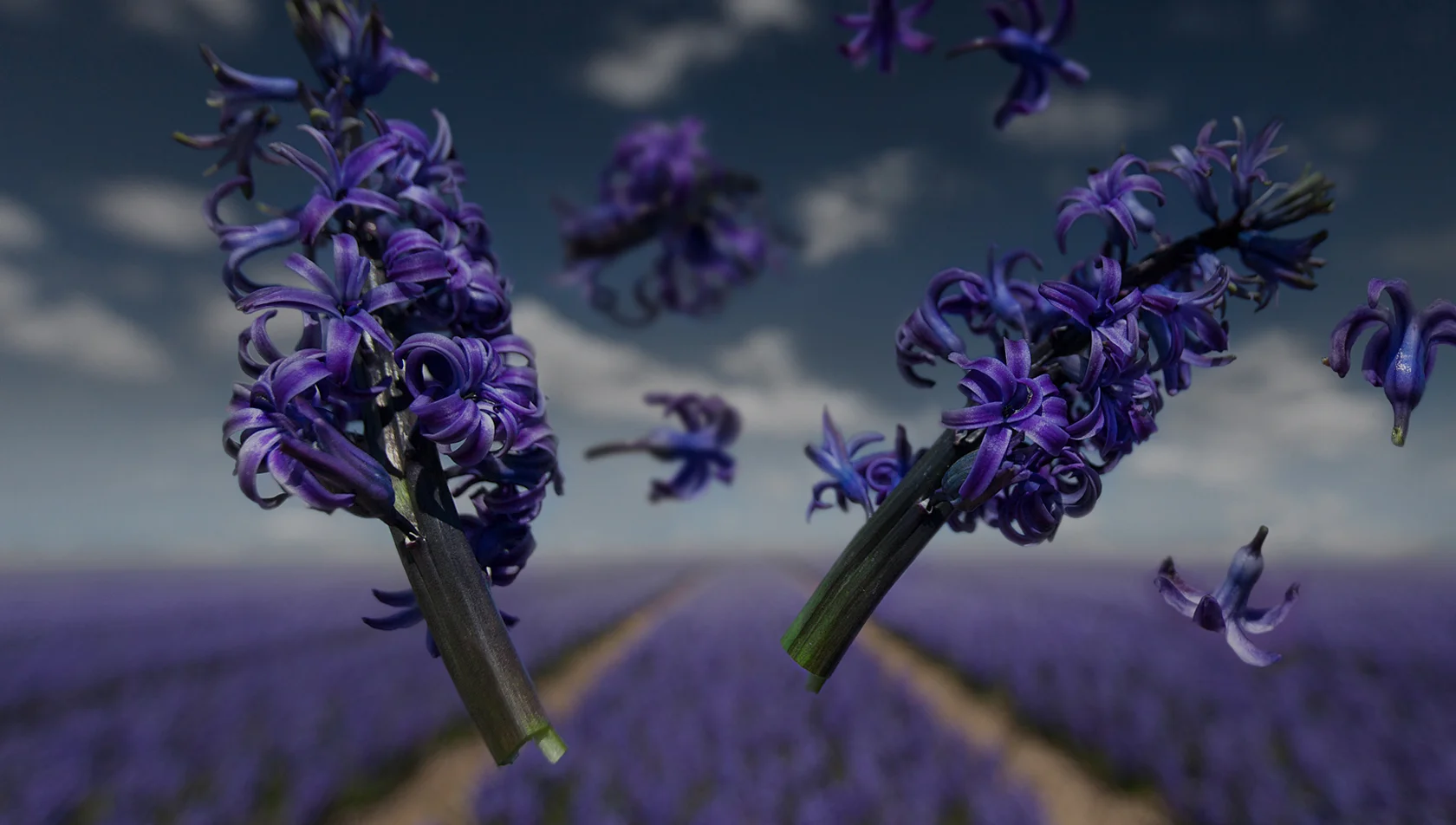 startpage_background_tulips2.jpg