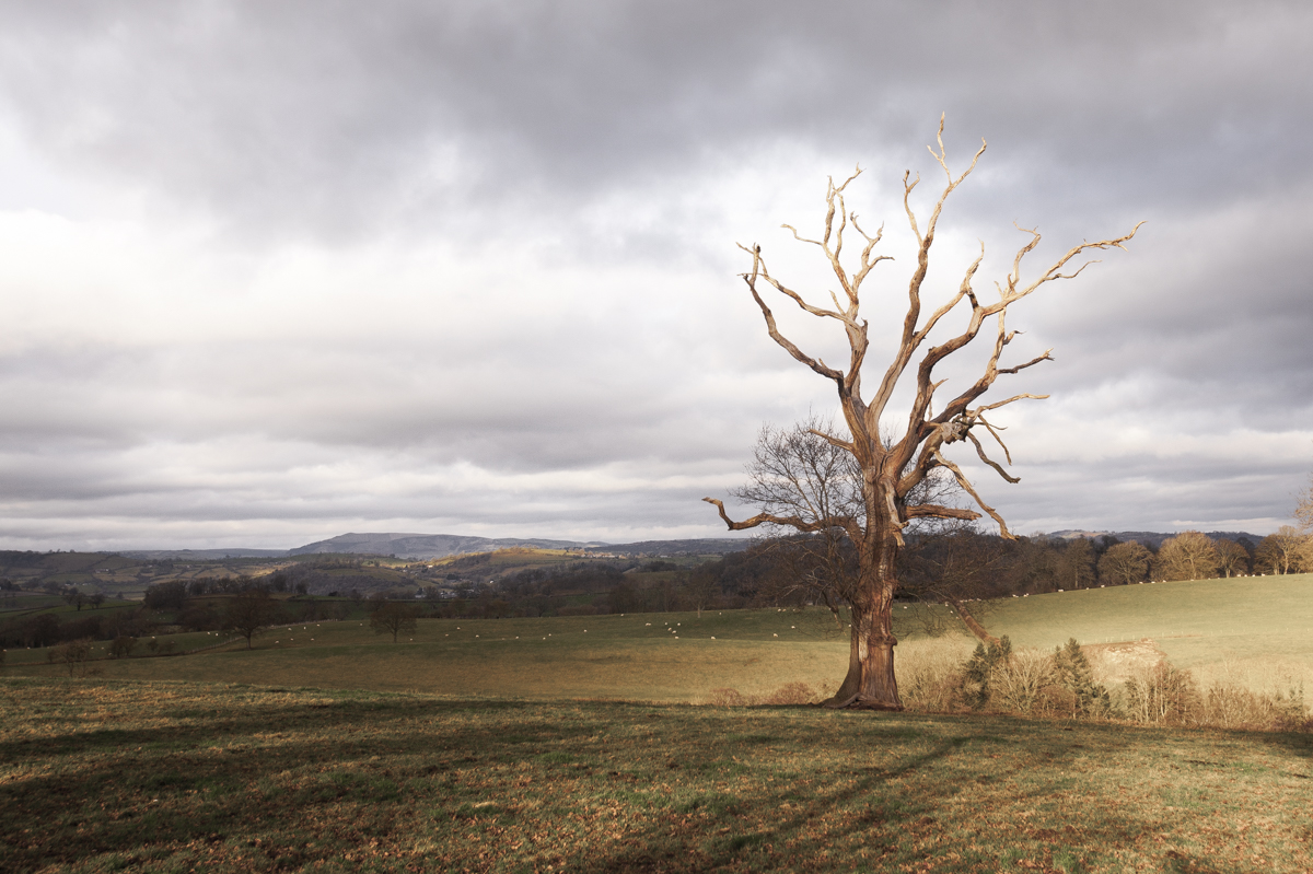 An old relic in the fields of Shropshire.