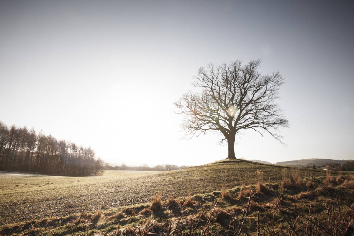 The beautiful Shropshire countryside.