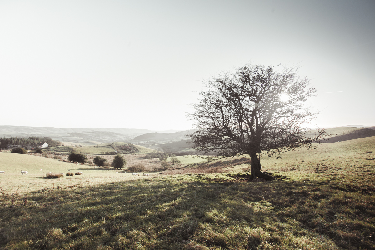 Peaceful Shropshire.
